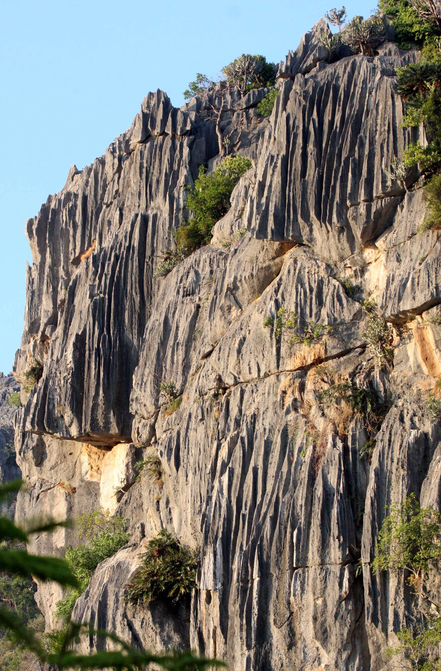 KHAO SAM ROI YOT THAILAND - 2009 (8).JPG