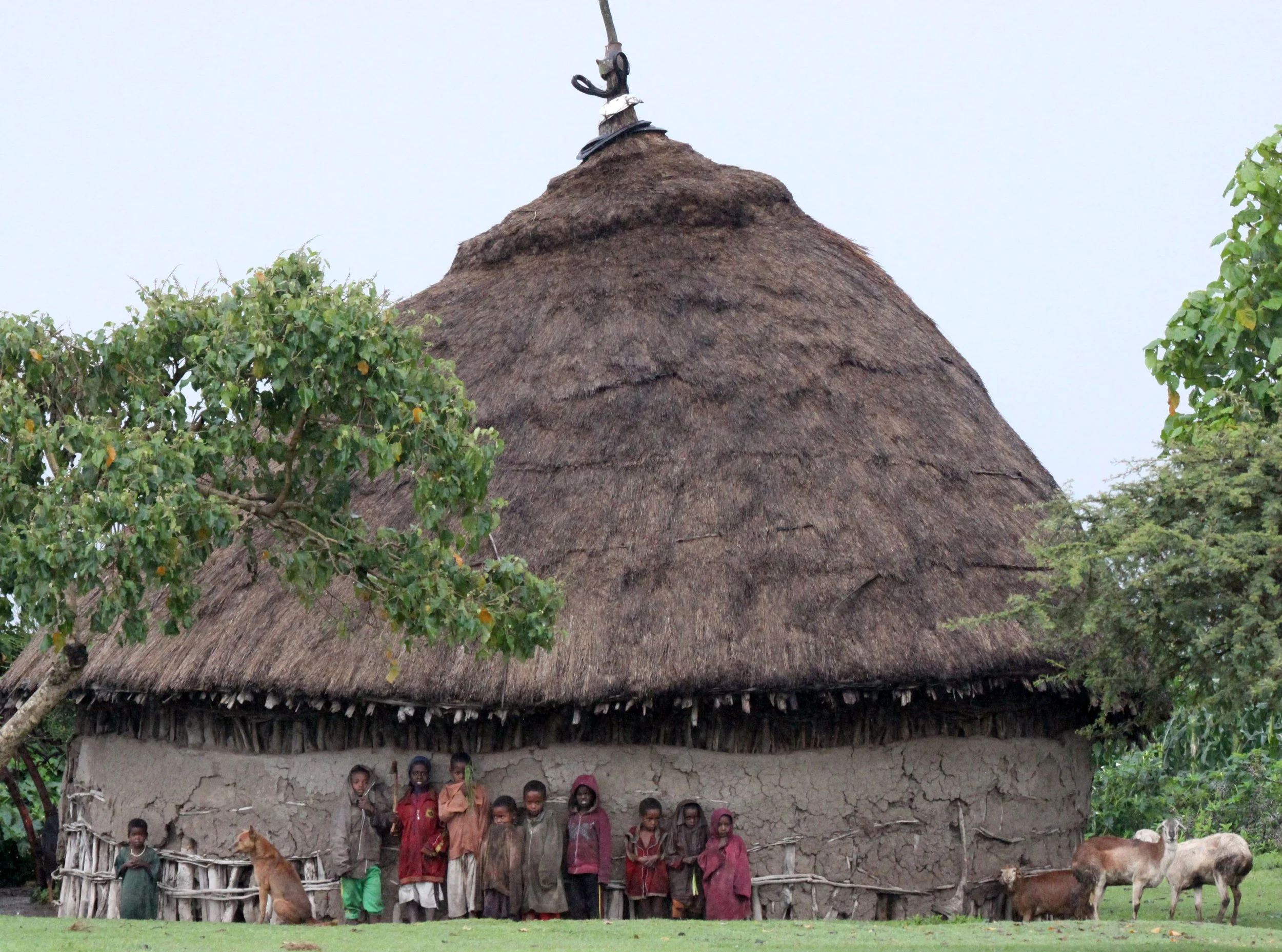 SENKELE SANCTUARY SURROUNDING VILLAGES - ETHIOPIA (1).JPG