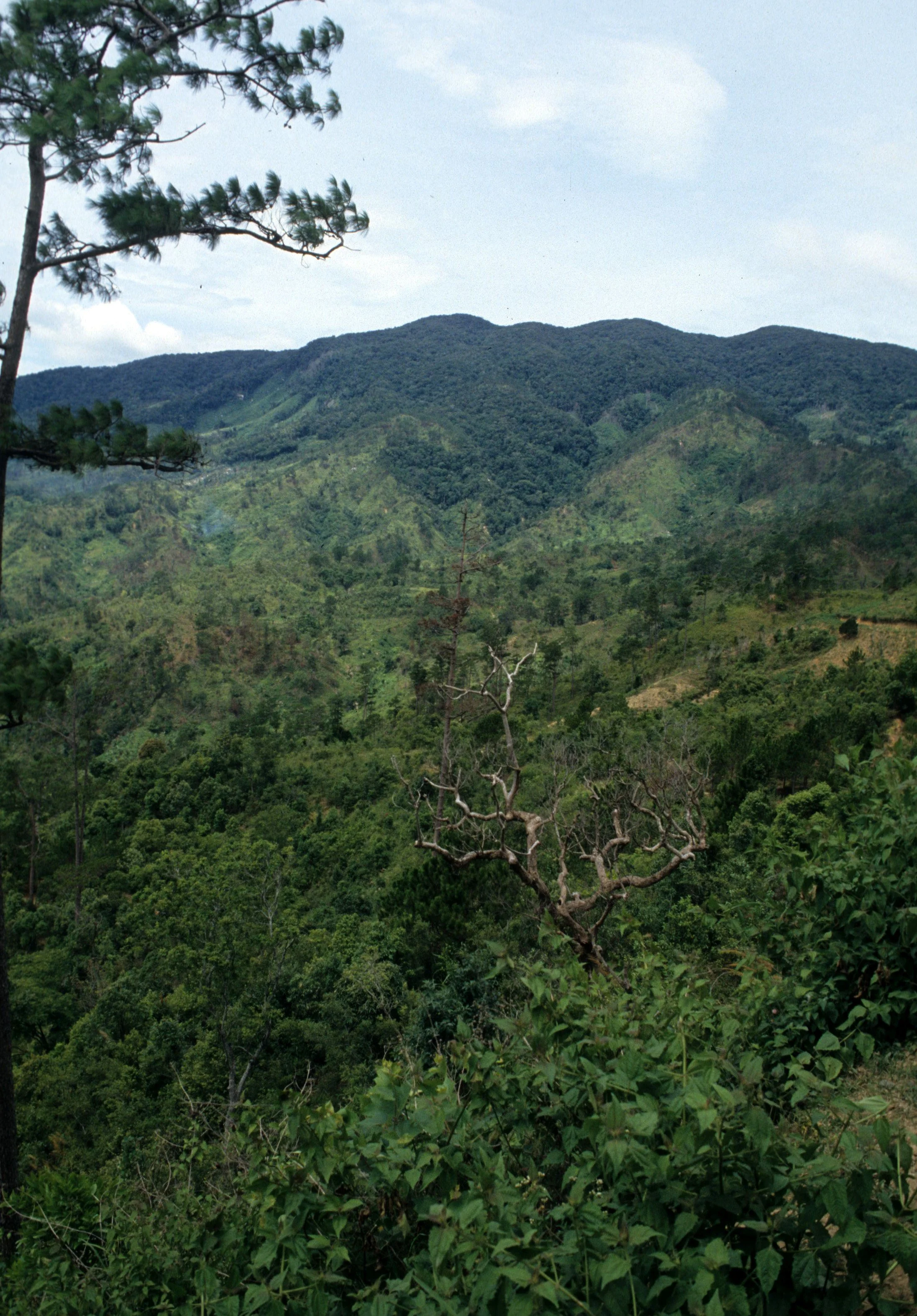 CENTRAL HIGHLANDS - DENUDED HILLSIDES (2).jpg