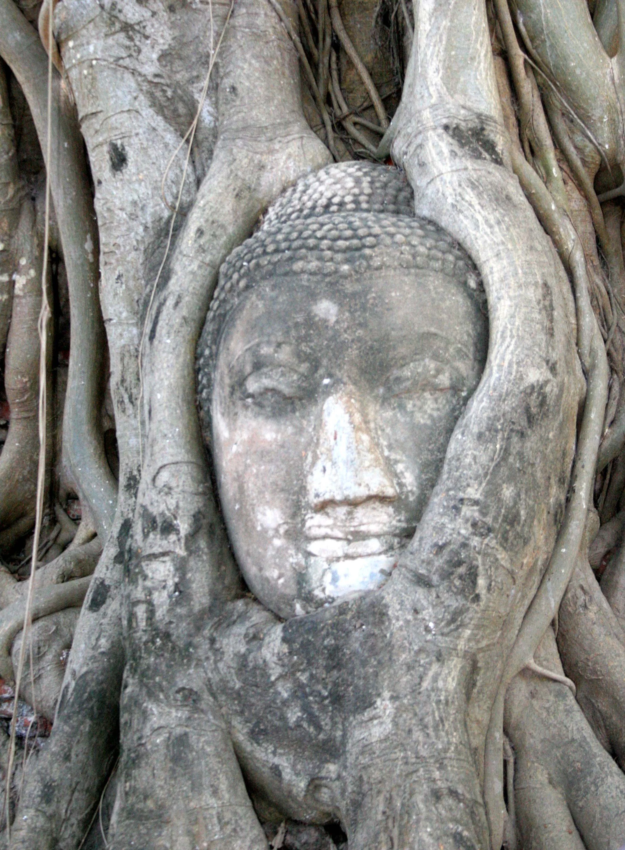 AYUDTHAYA - CHRISTMAS TRIP 2008 (33).JPG