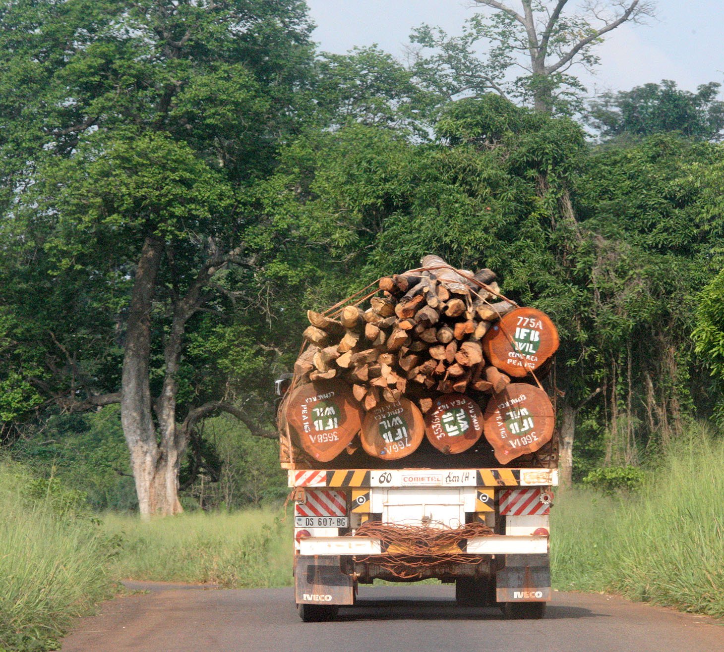 BODA - SOUTHERN AREAS -  CENTRAL AFRICAN REPUBLIC (36).JPG