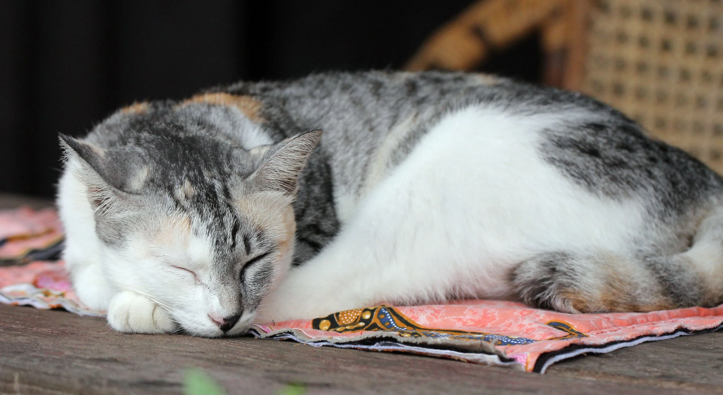 2015 Koh Lanta October Break Trip  (204).JPG