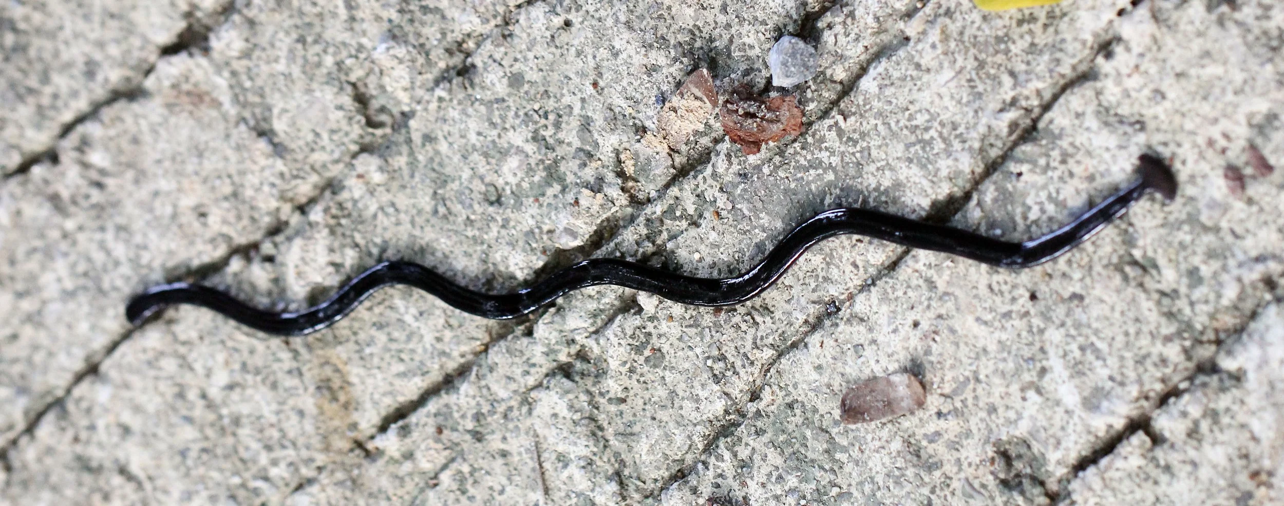 2015 Koh Lanta October Break Trip  (121).JPG