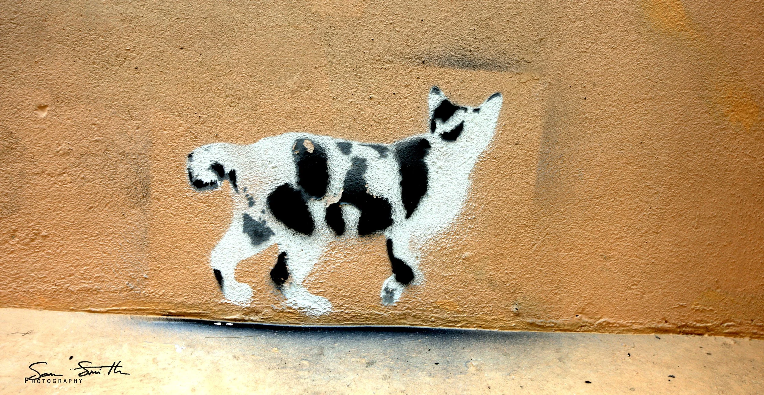 2017 Graffiti Tour in Bangkok (247).JPG