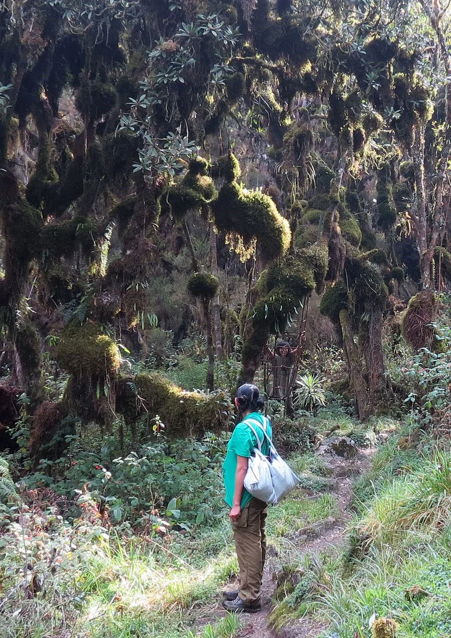 RWENZORI NATIONAL PARK UGANDA (146).JPG