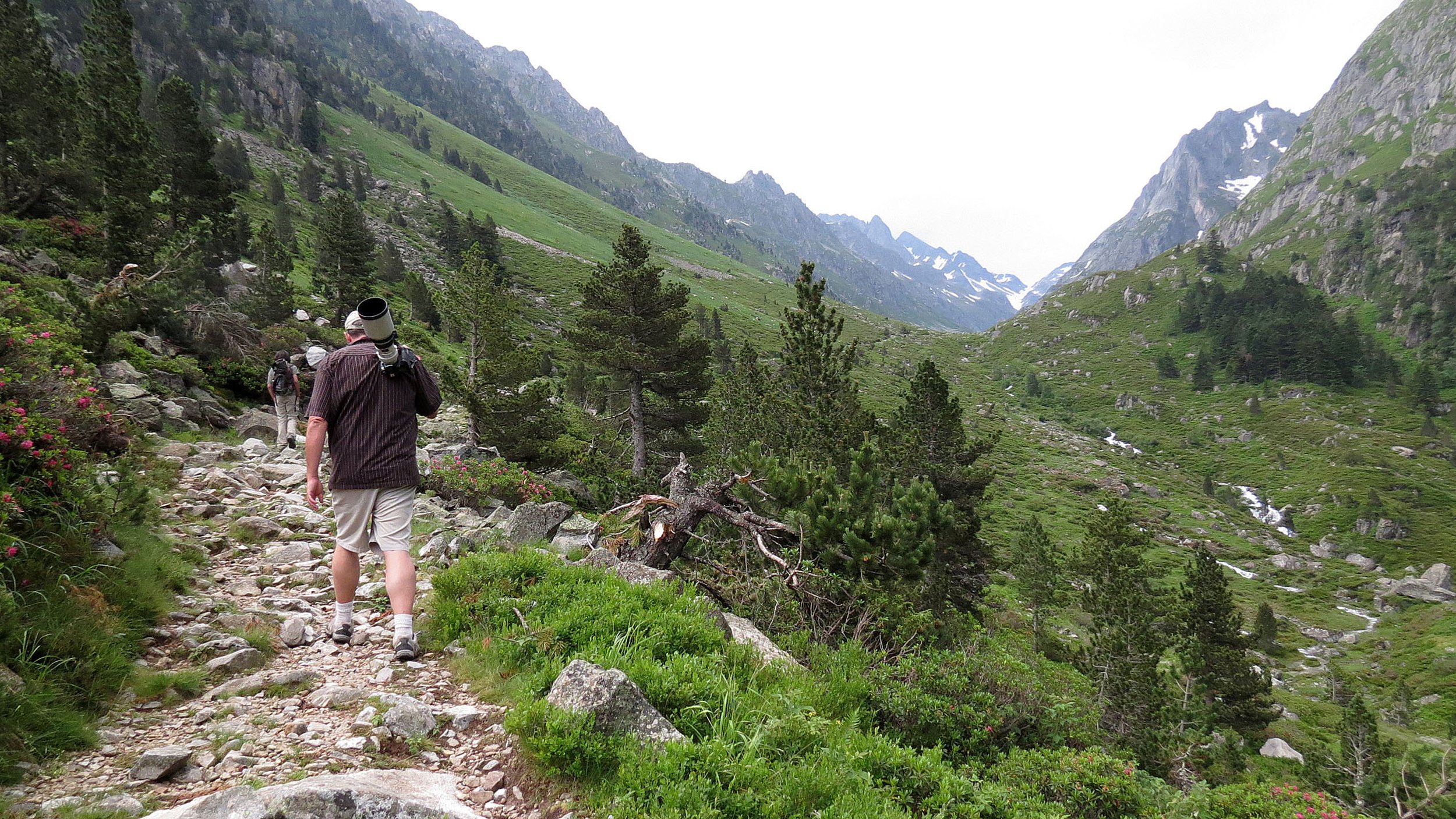 ARRENS - MARSOUS - PYRENEES NATIONAL PARK FRANCE (22).JPG