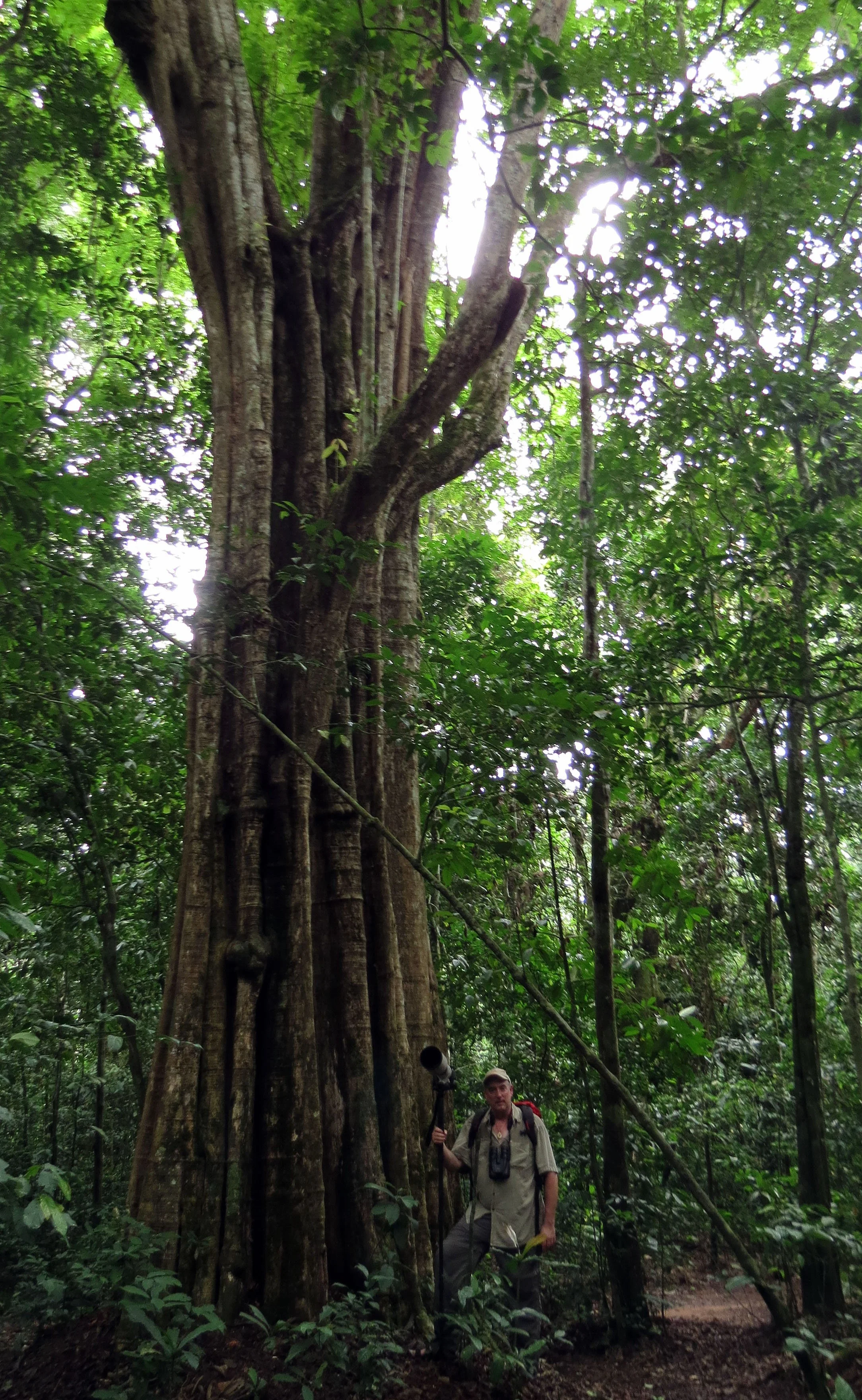 DZANGA NDOKI NATIONAL PARK  - CENTRAL AFRICAN REPUBLIC (24).JPG