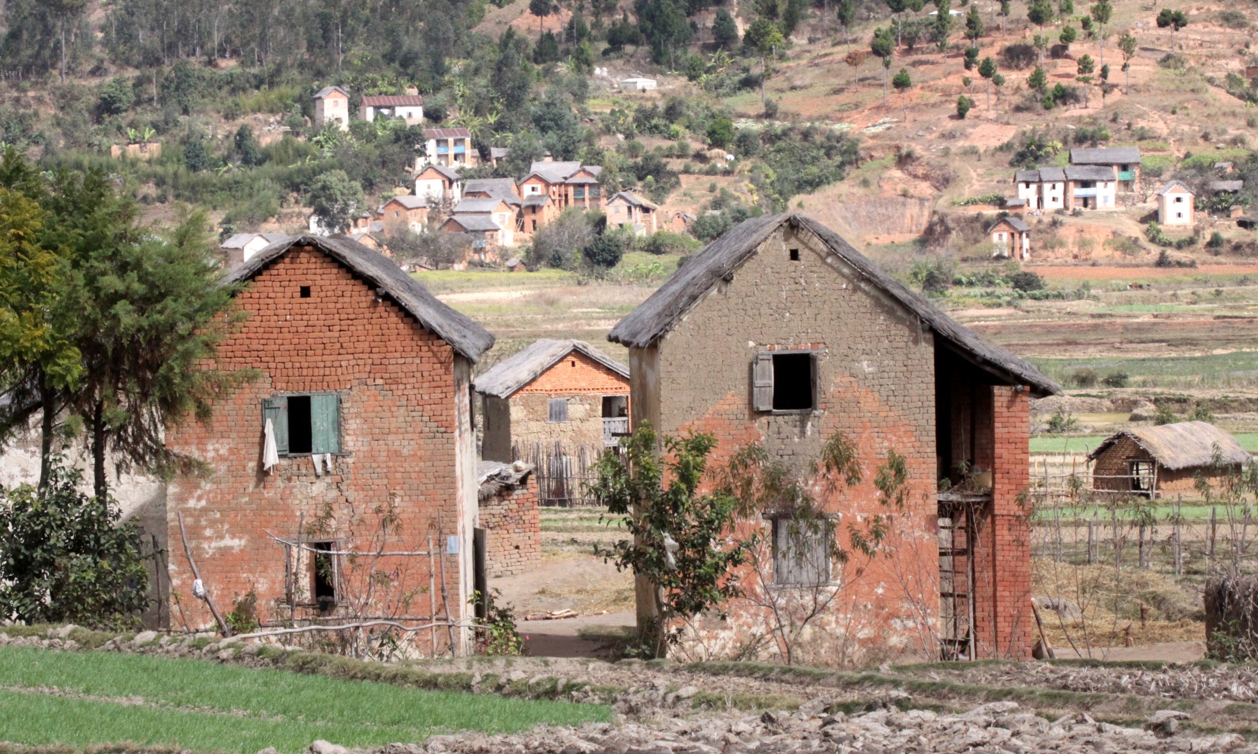 CENTRAL HIGHLANDS - ROAD TO RANOMAFANA (61).JPG