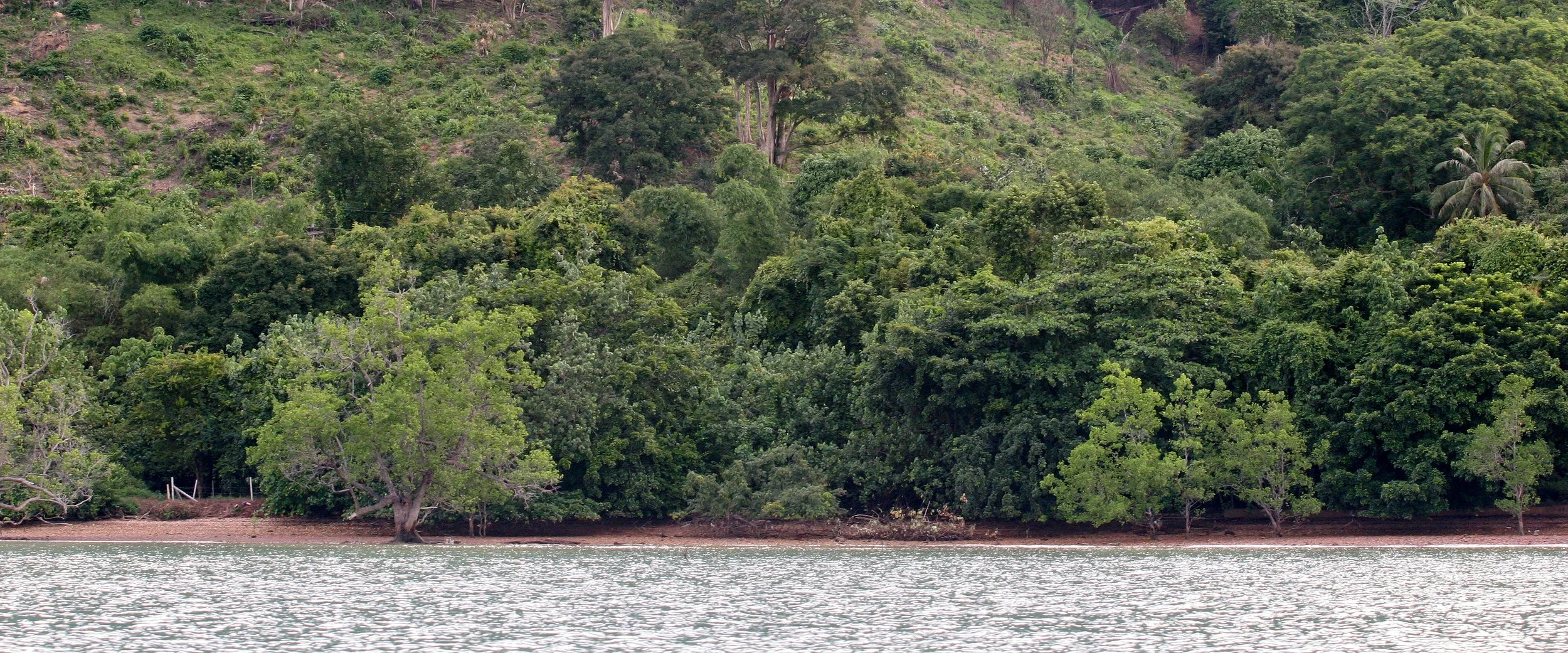 KOH LANTA - 2008 - PROPERTY VIEWS (4).JPG