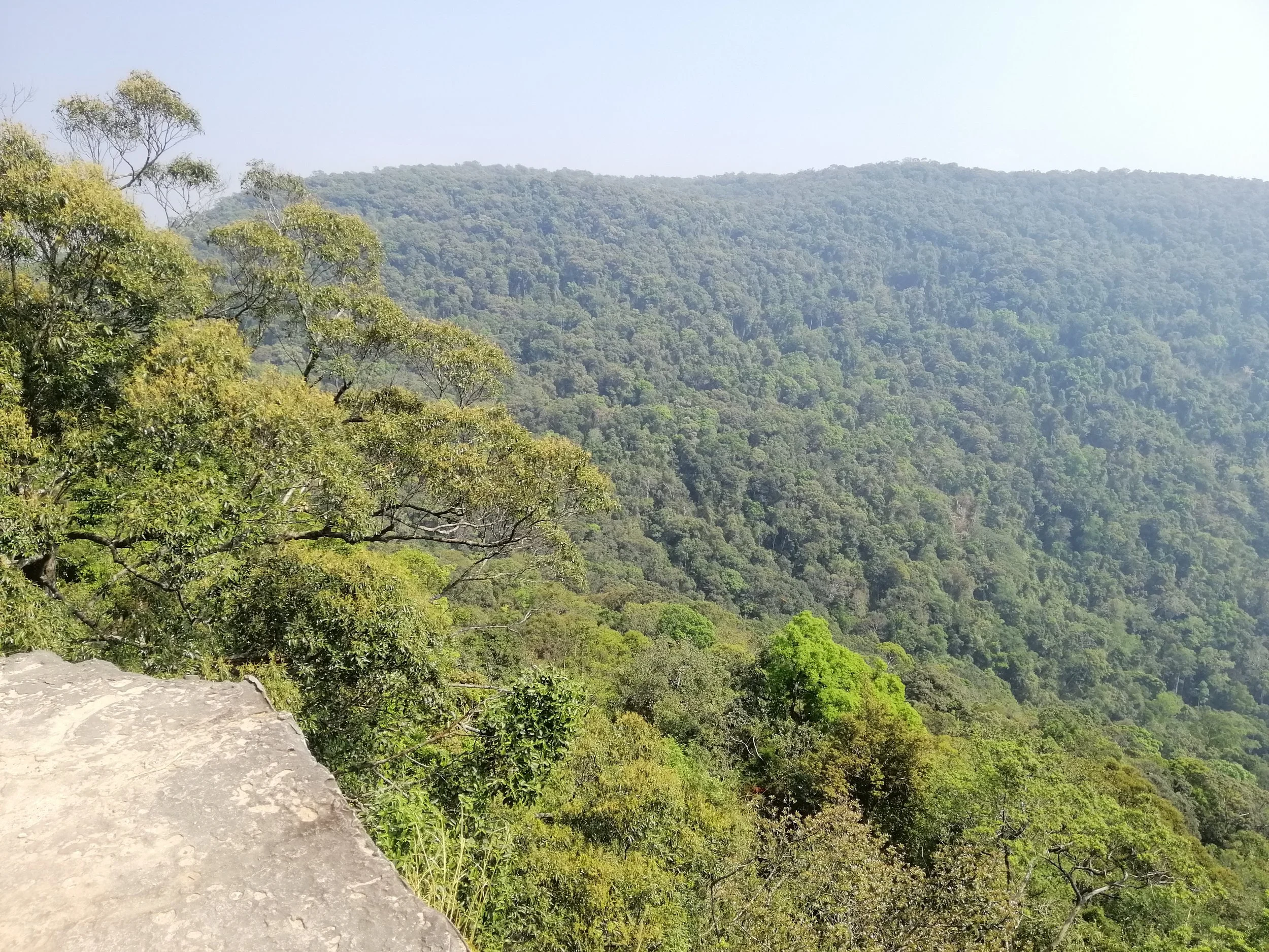The view east from Pha Diew Dai Cliff overlook.  The vast Korat Plateau takes over from here.