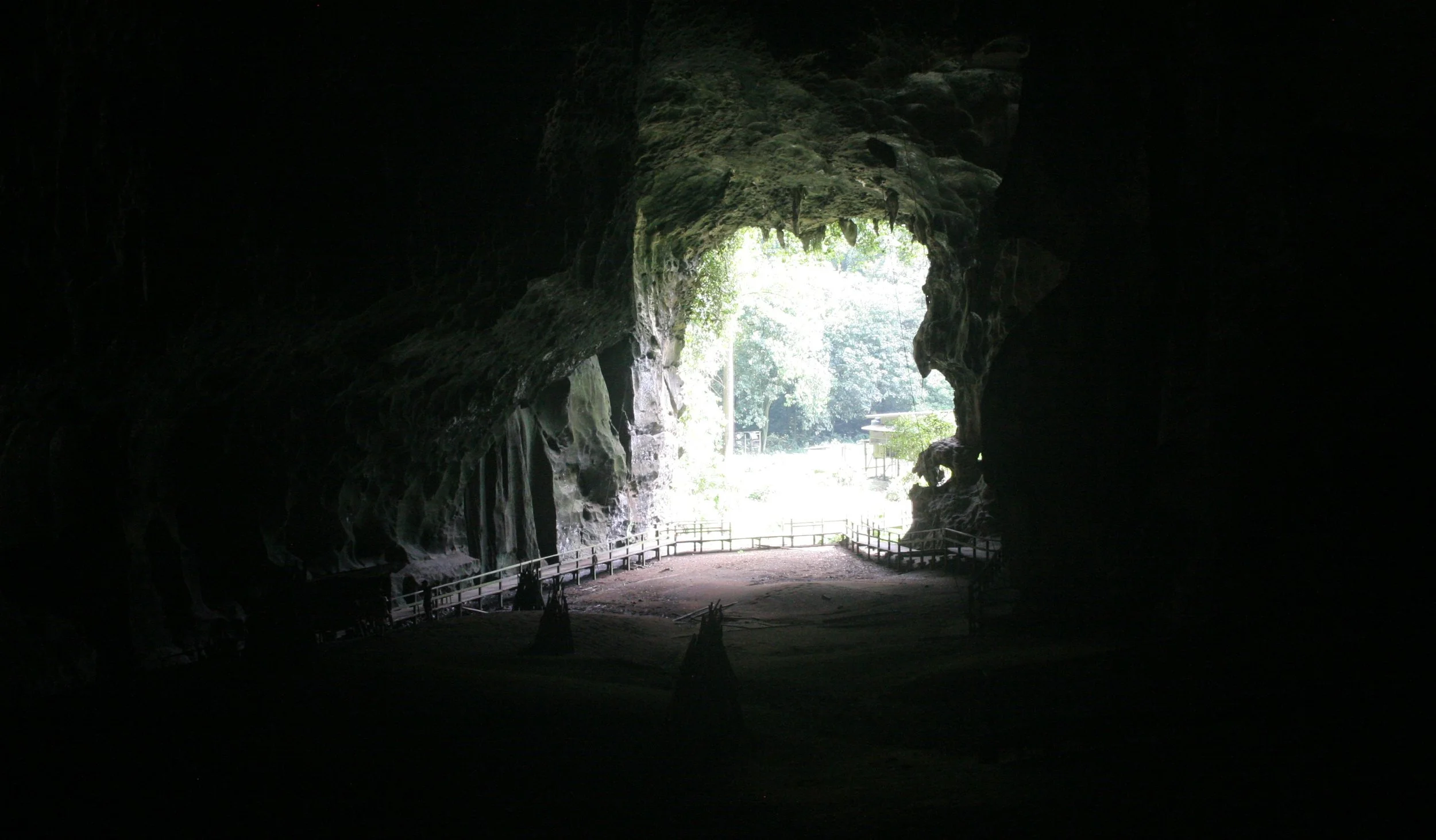 GAMONTONG CAVES BORNEO (3).JPG
