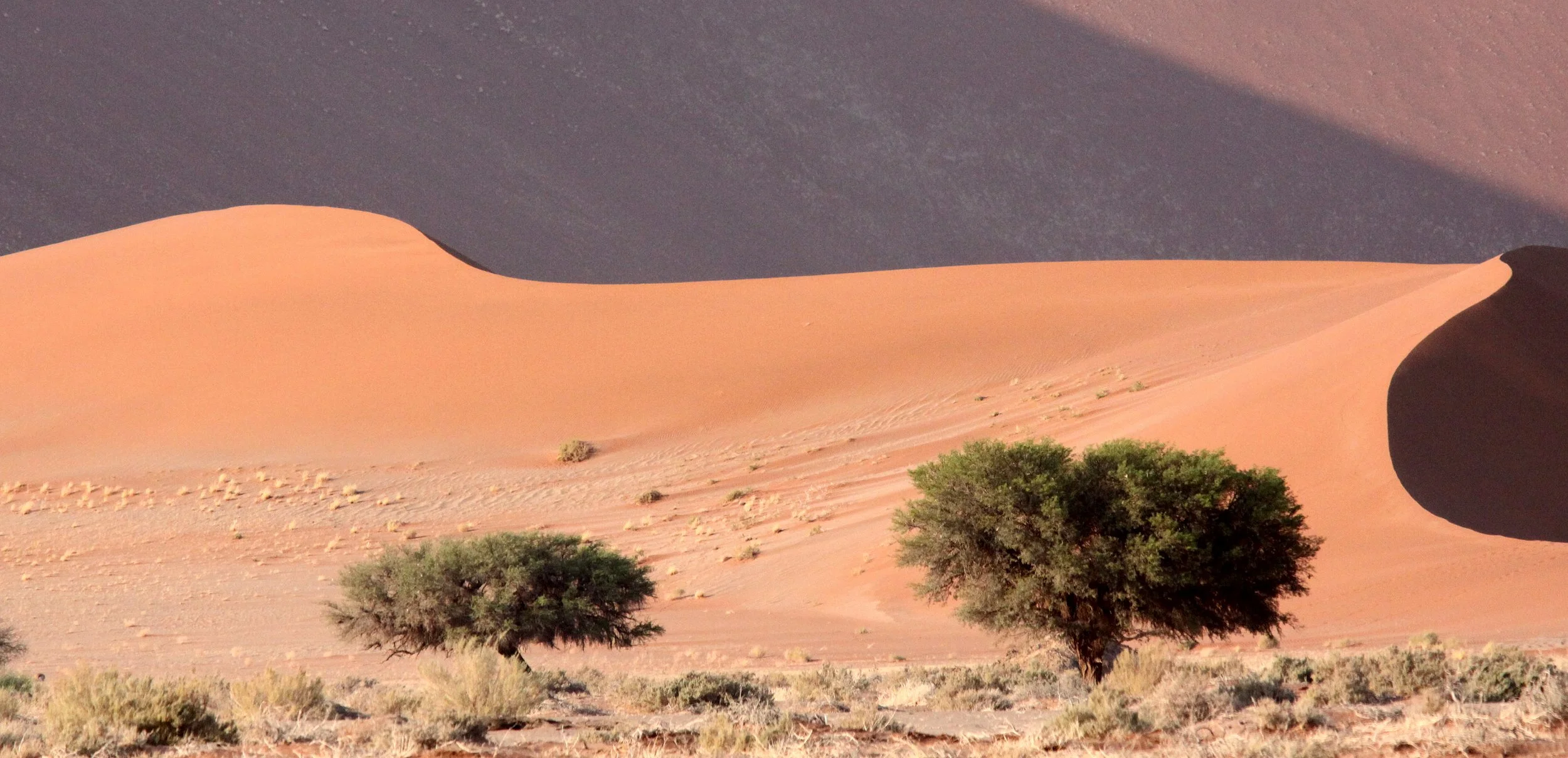 SOSSUSVLEI, NAMIB NAUKLUFT NATIONAL PARK, NAMIBIA (10).JPG