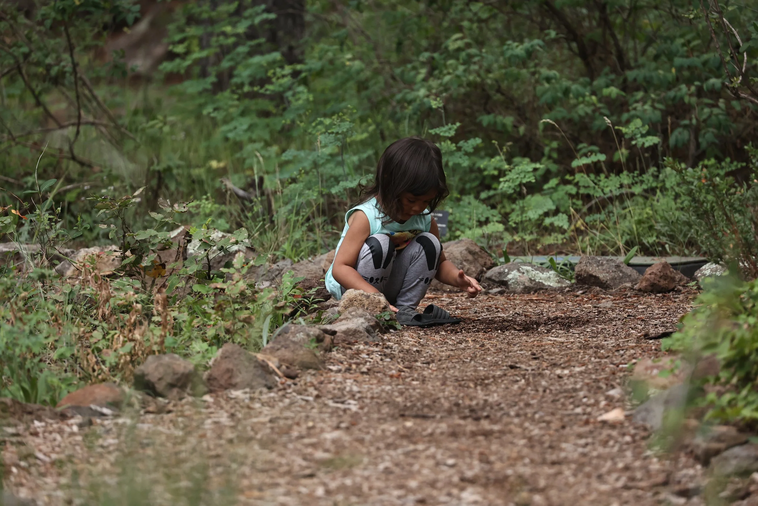 FLAGSTAFF ARBORETUM ARIZONA 2022 (128).JPG
