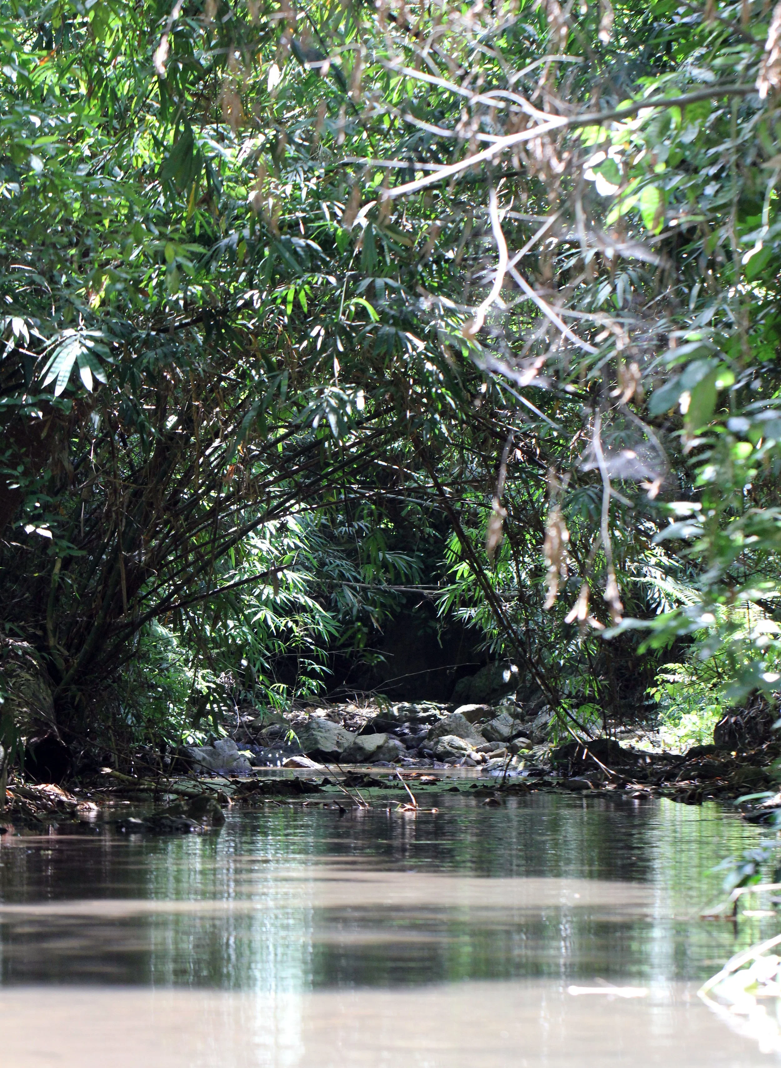 2014 Kaeng Krachan with Cokie & Som and Phil & Shelley Summer Travels (68).JPG