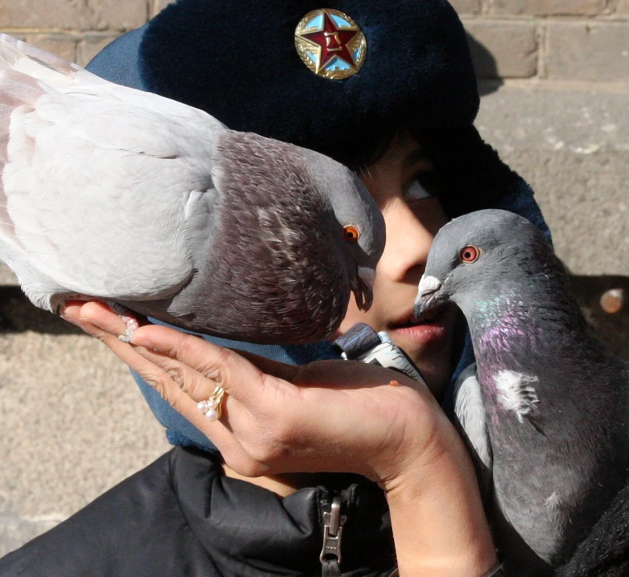 BIRD - PIGEON - HARBIN SAINT SOPHIA'S CATHEDRAL CHINA (44).JPG