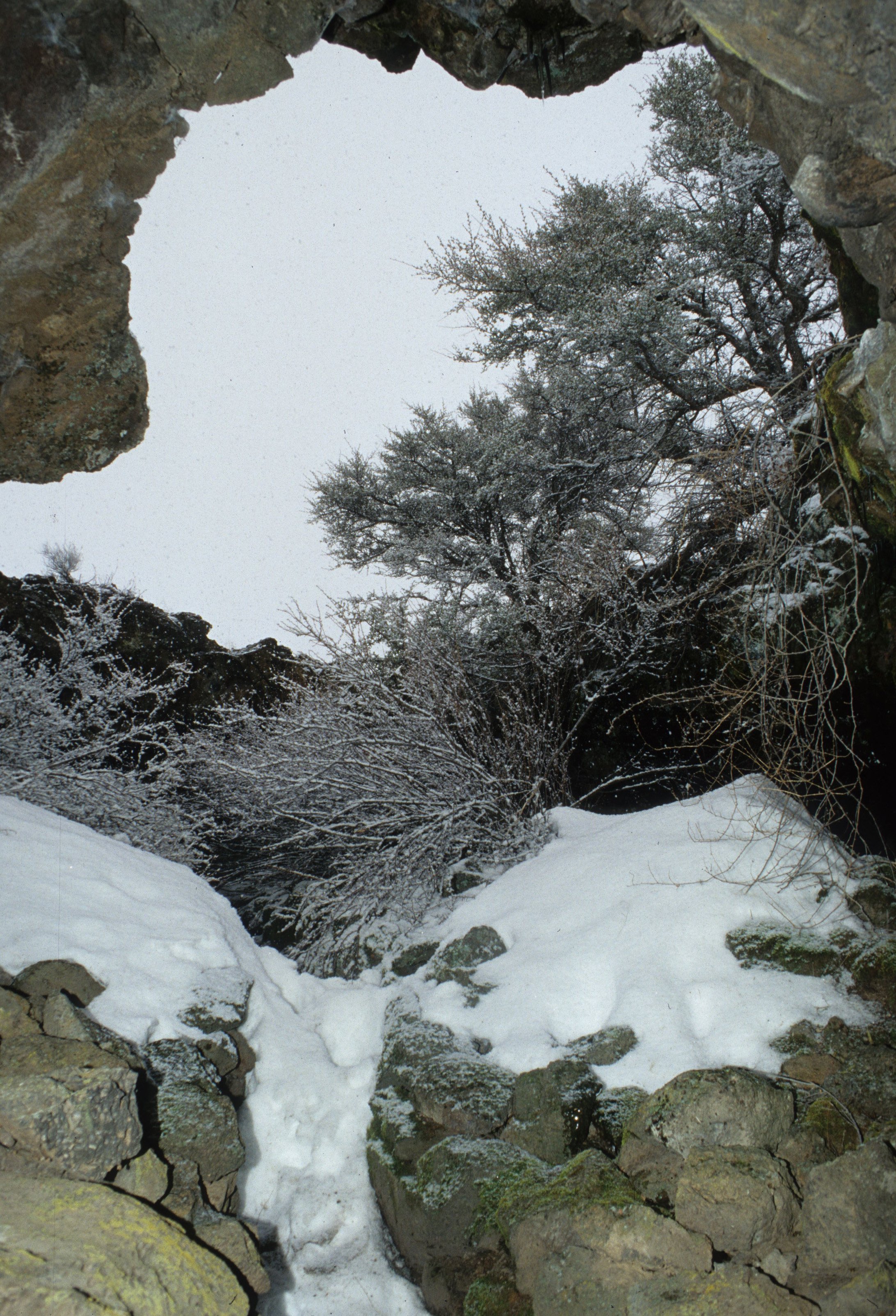 CALIFORNIA - LAVA BEDS NM - LAVA TUBE B.jpg