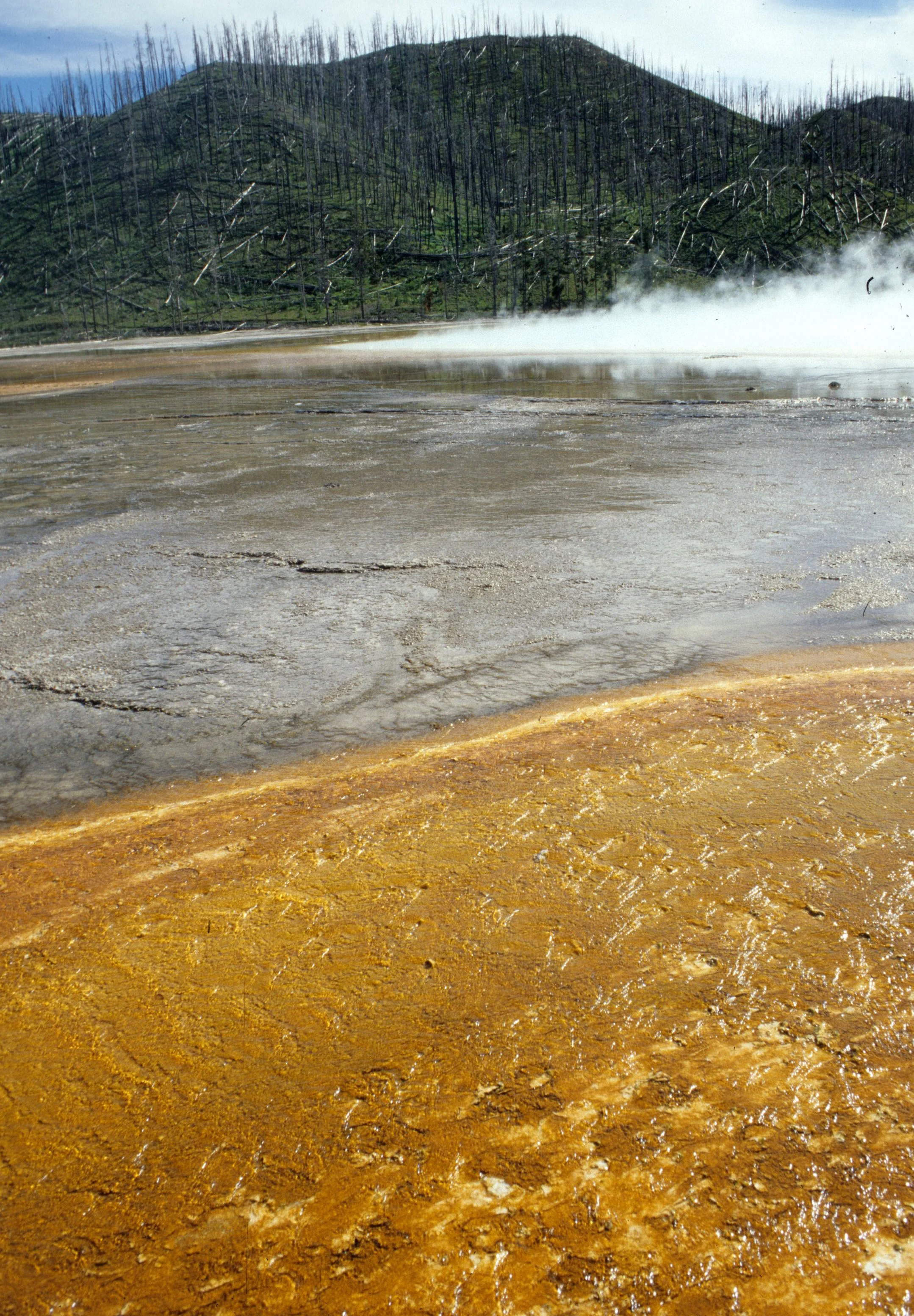 YELLOWSTONE - GEYSER VALLEY A.jpg