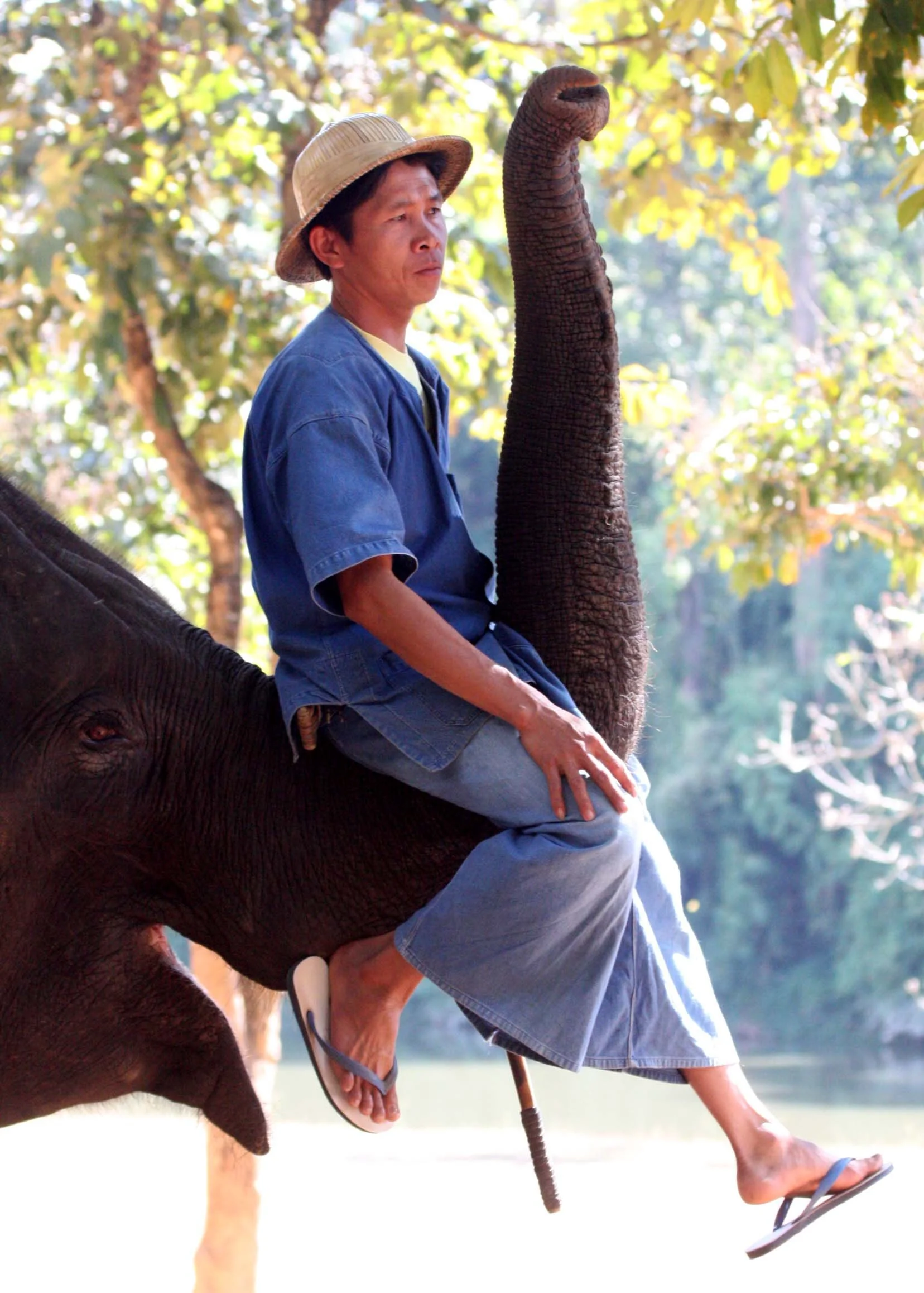 2008 Lampang City & Elephant Center (45).JPG