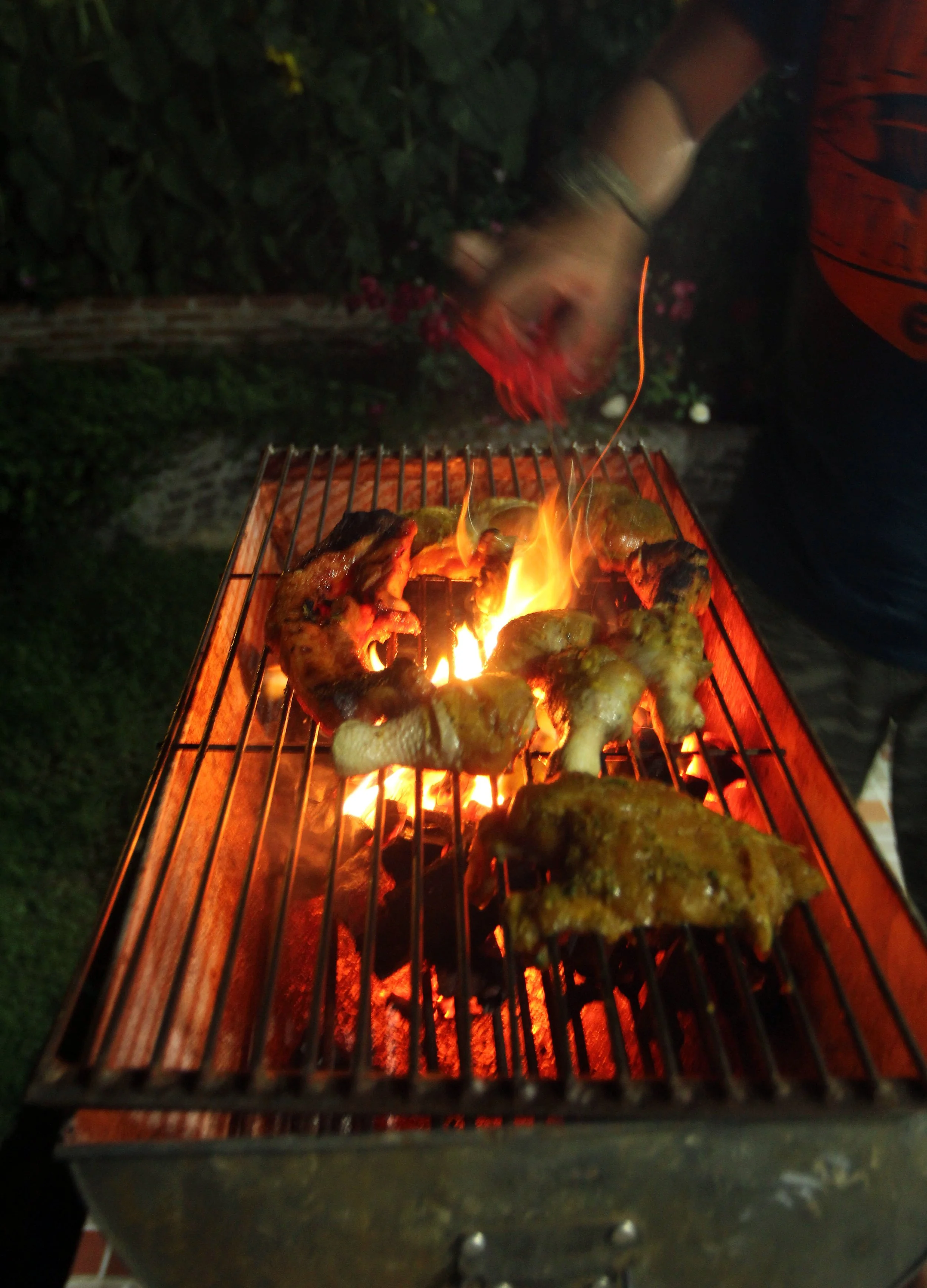 2015 Khao Pang Ma Nonhunting Area (140).JPG