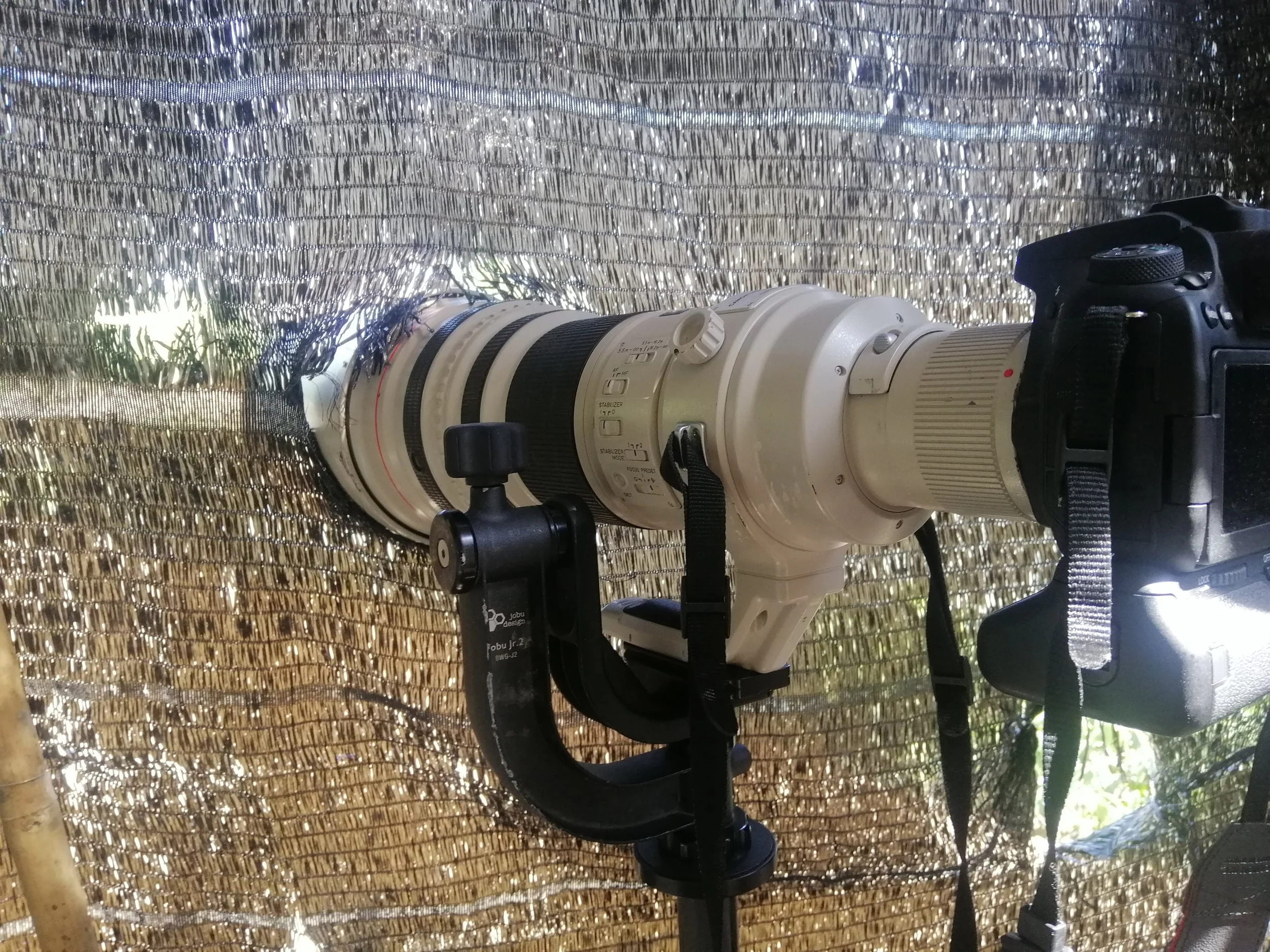 These bird blinds allow people to see up close and inobtrusively some of the rarest and hardest to see species in Thailand.