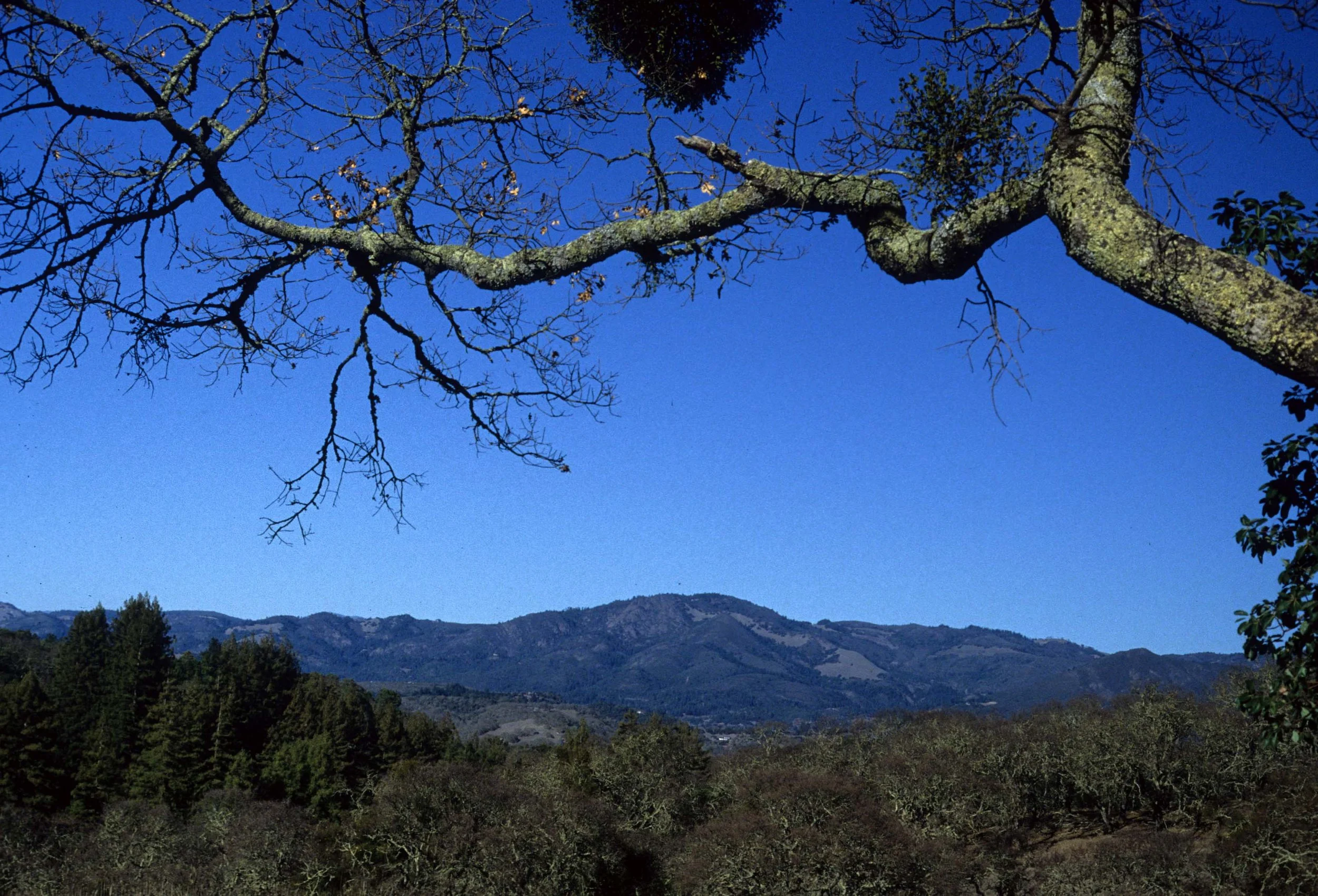 CALIFORNIA - JACK LONDON SP (5).jpg