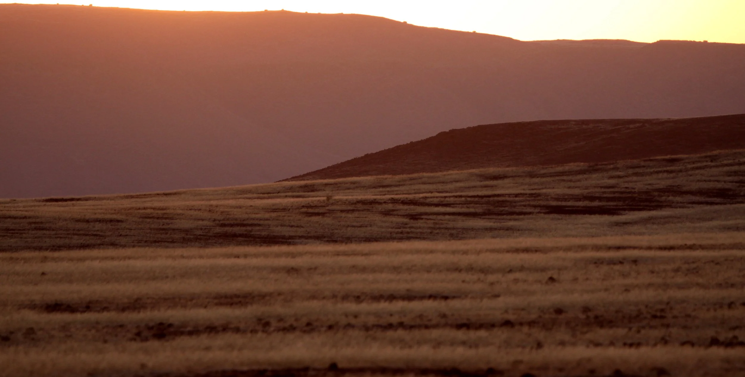 NAMIBIA - SKELETON COAST NATIONAL PARK - EAST ENTRANCE (15).JPG