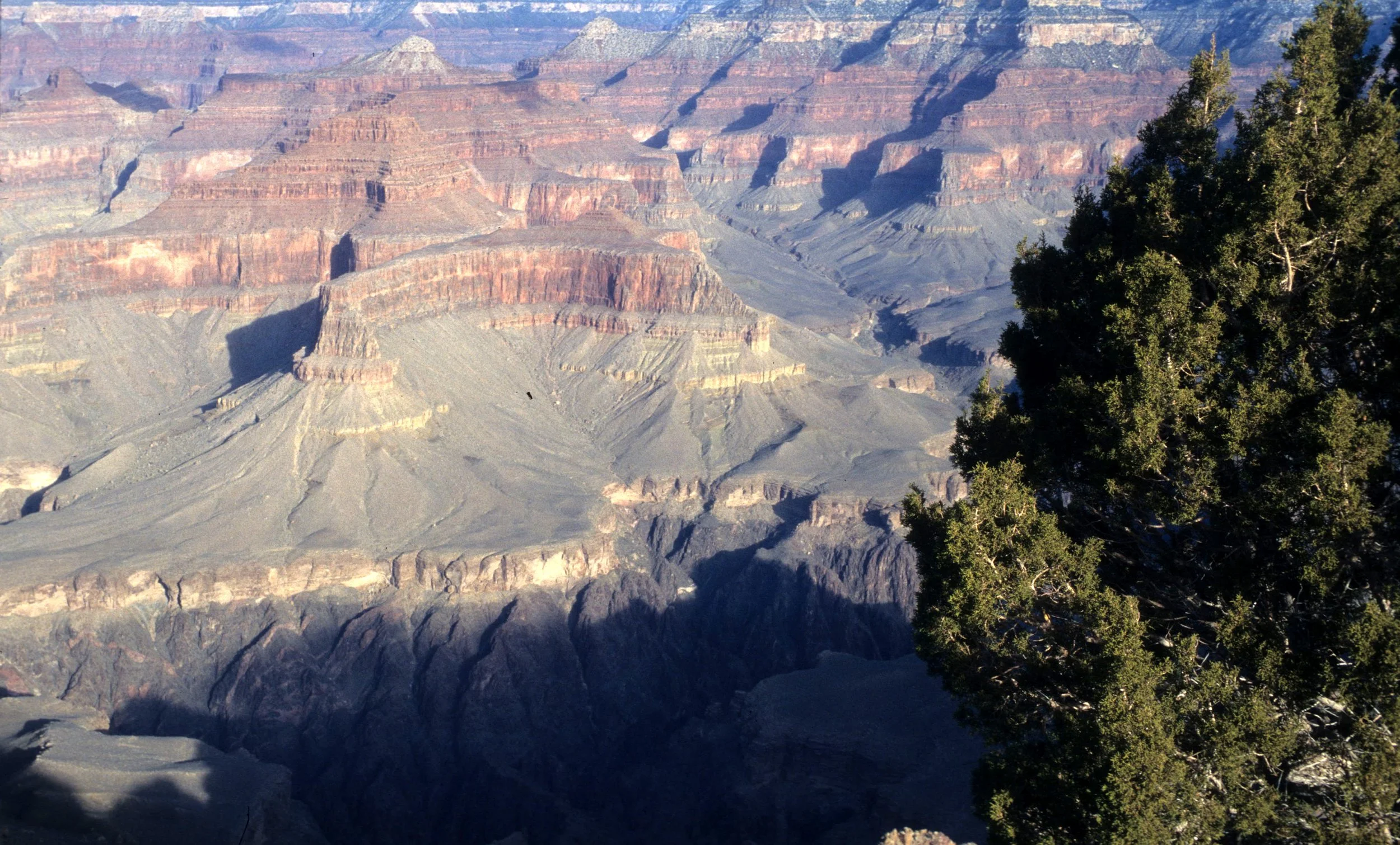 ARIZONA - GRAND CANYON NATIONAL PK (40).jpg