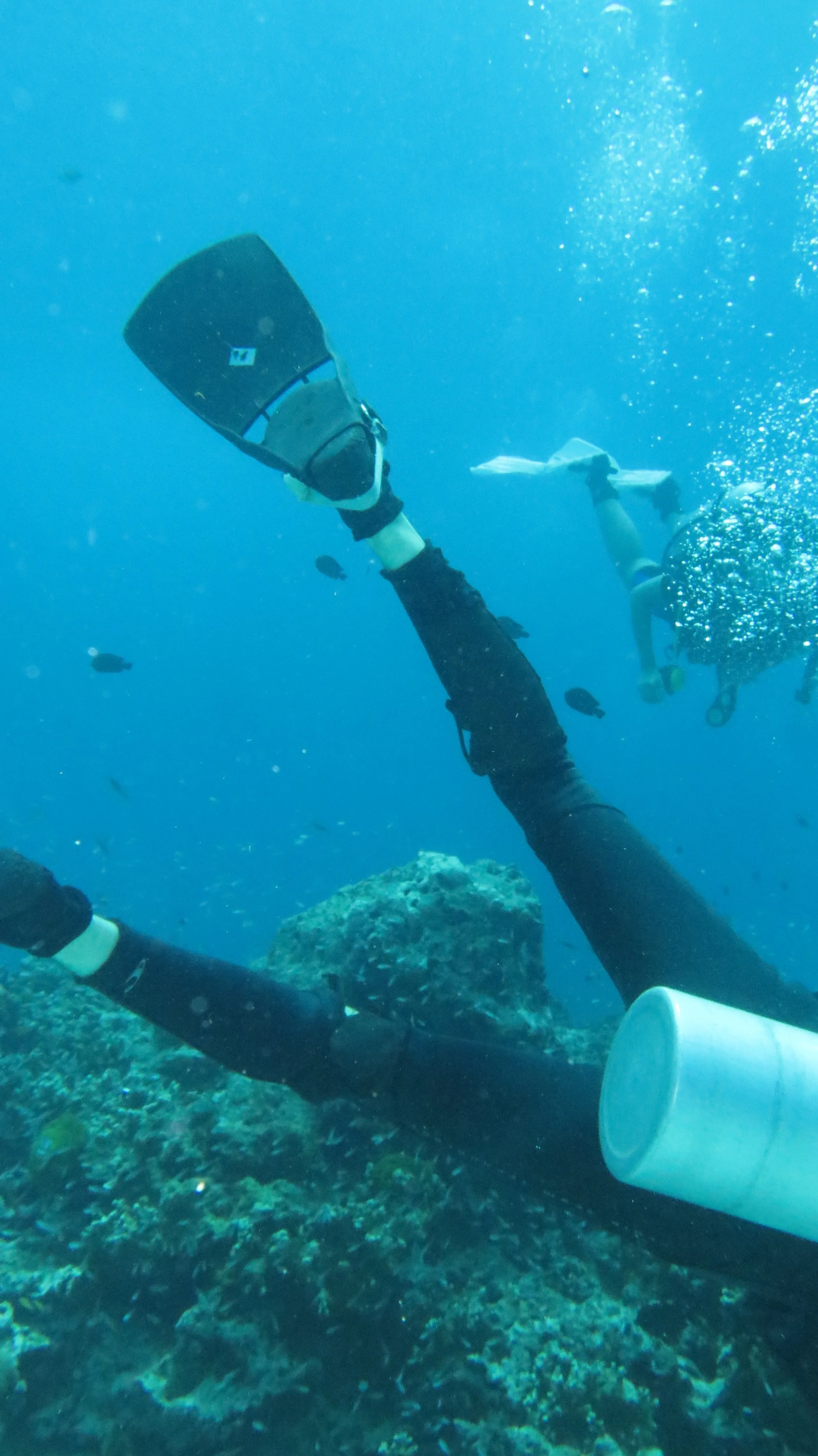 2016 Similans Trip with ISB GCW (28).JPG