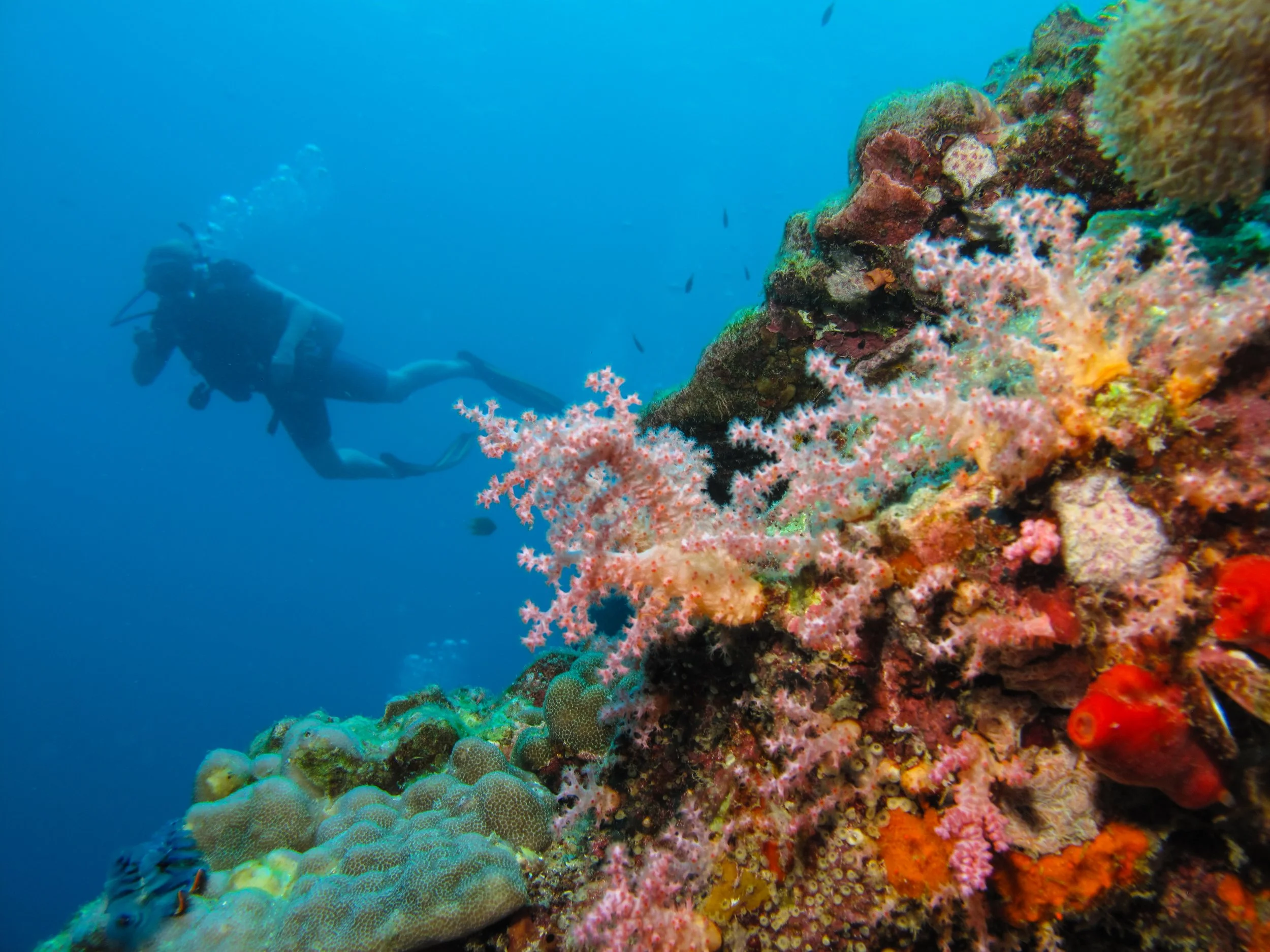 2013 Koh Lanta Dive Trip Koh Ha (121).jpg