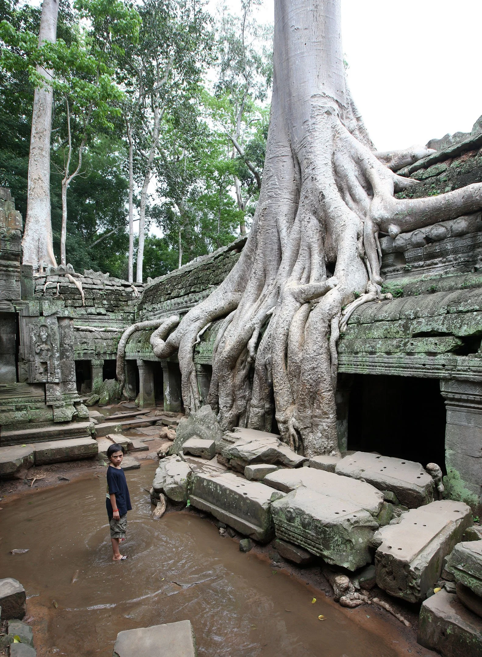 TA PROHM TEMPLE CAMBODIA - JULY 2010 (30).JPG