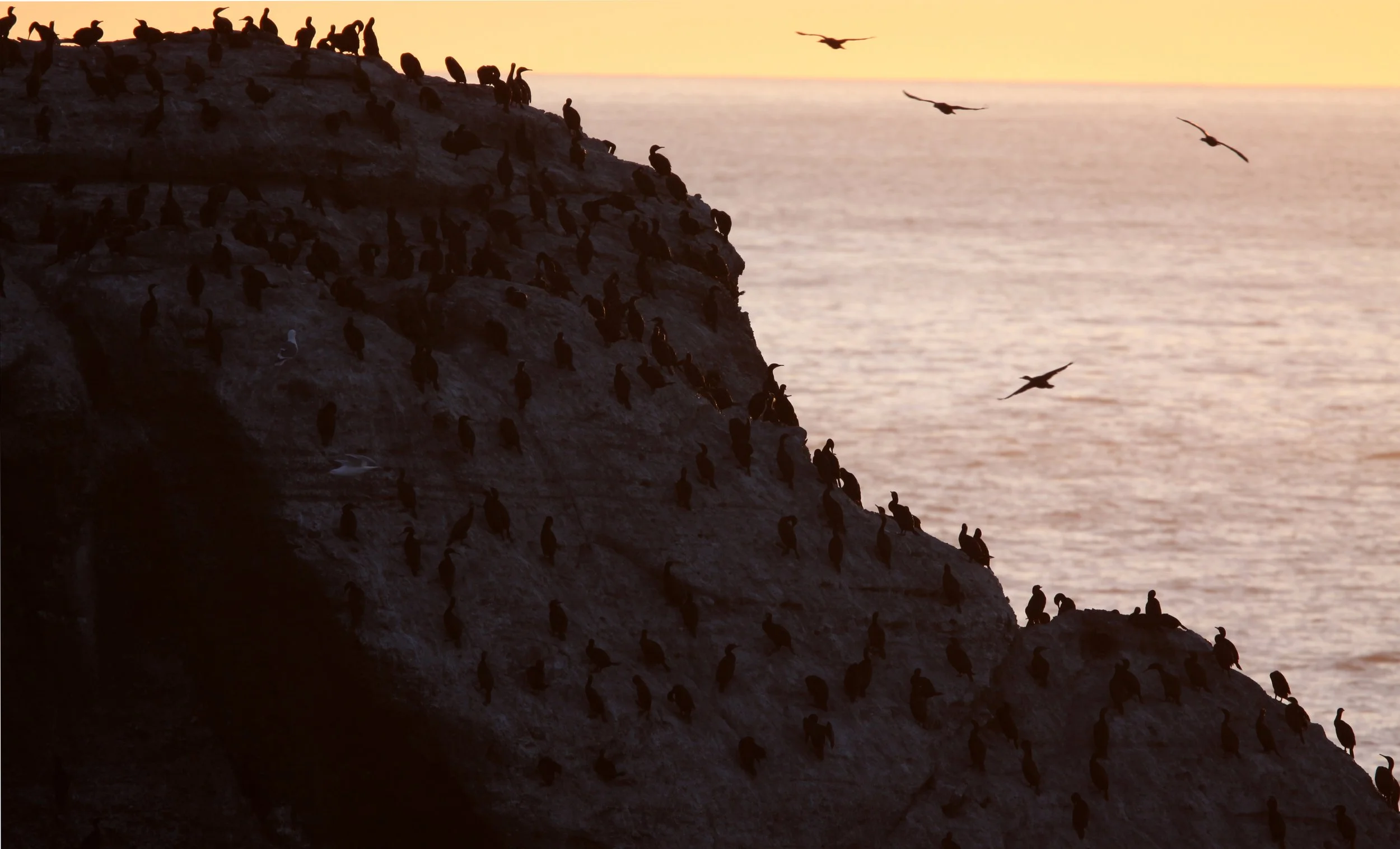 CAPE FLATTERY - SUNSET IN FEBRUARY 2010 (26).JPG