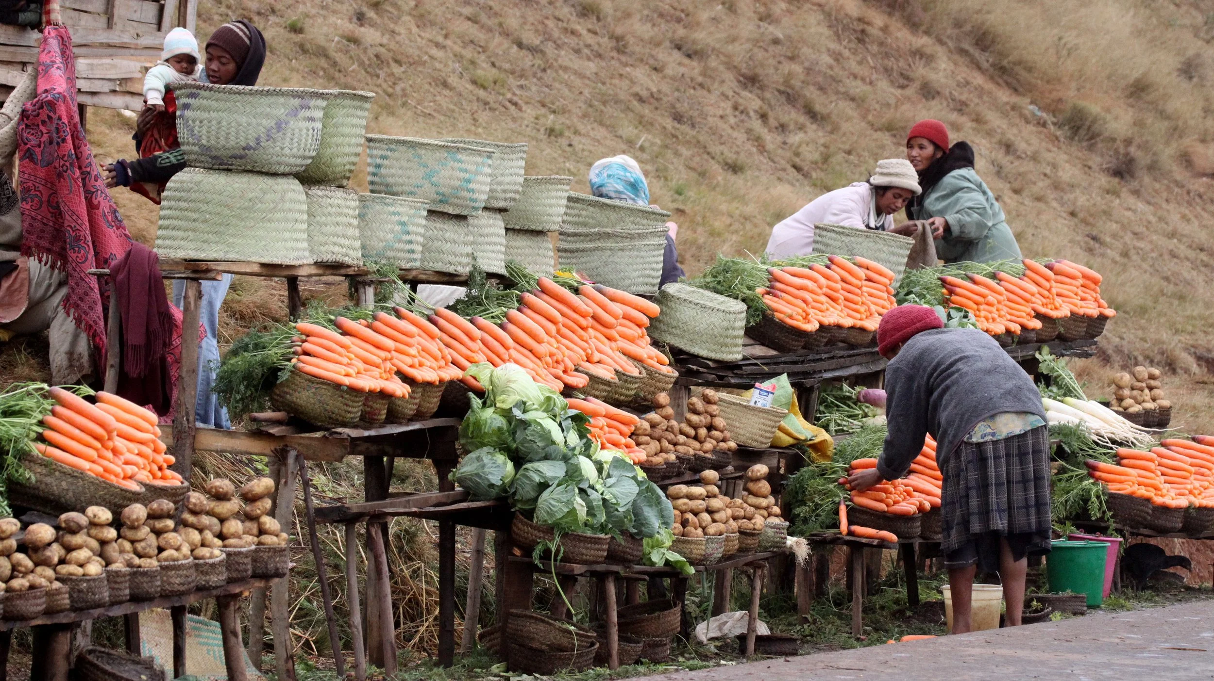 CENTRAL HIGHLANDS - ROAD TO RANOMAFANA (46).JPG