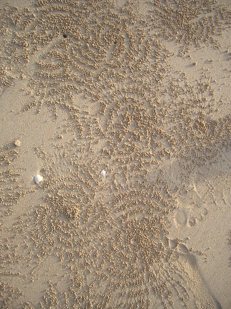 KRABI - RAILEY BEACH - 2004 (54).JPG