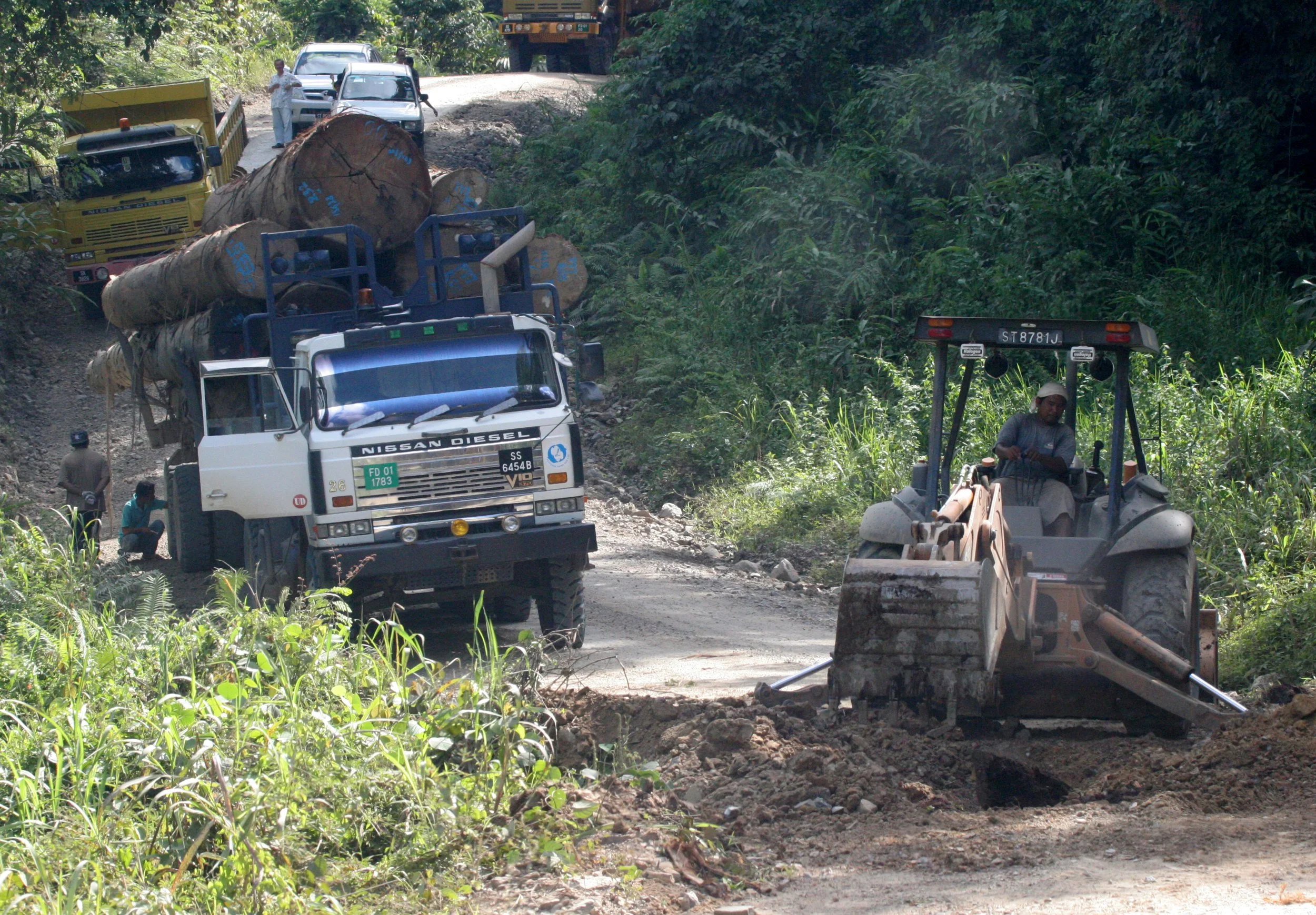 DANUM VALLEY BORNEO - LOGGING ROAD TO INTERIOR (6).JPG