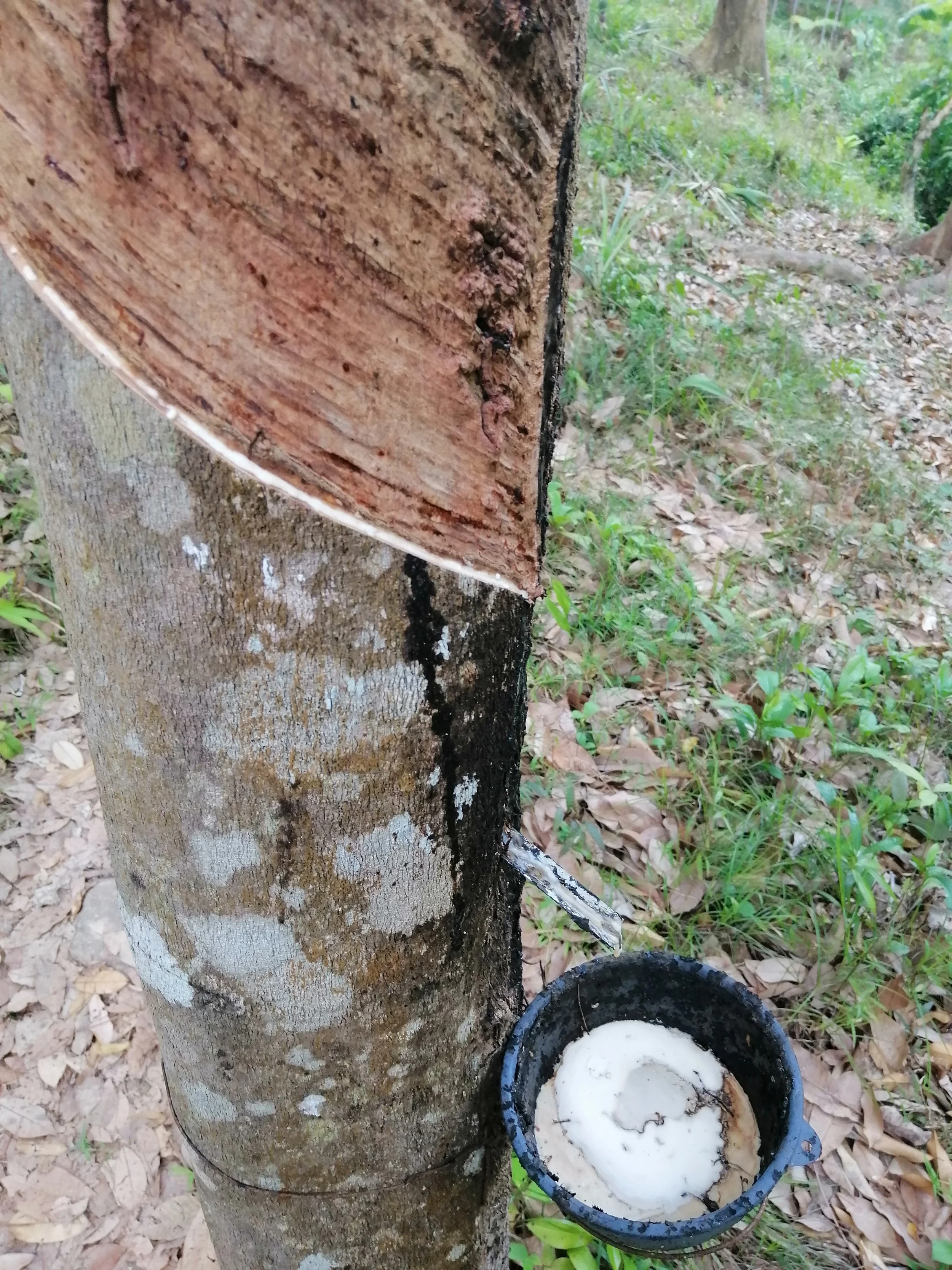 2018 Koh Lanta Misc  (100).jpg