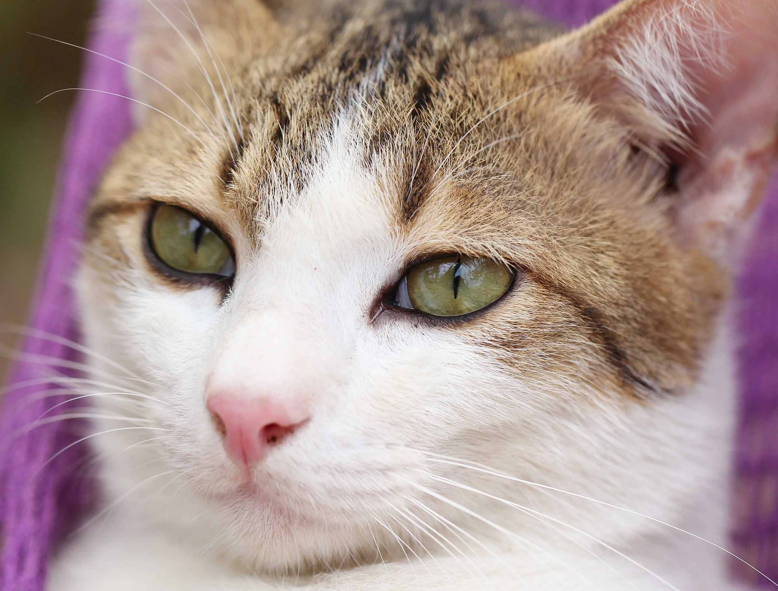 2015 Koh Lanta Songkran with friends from ISB (364).JPG