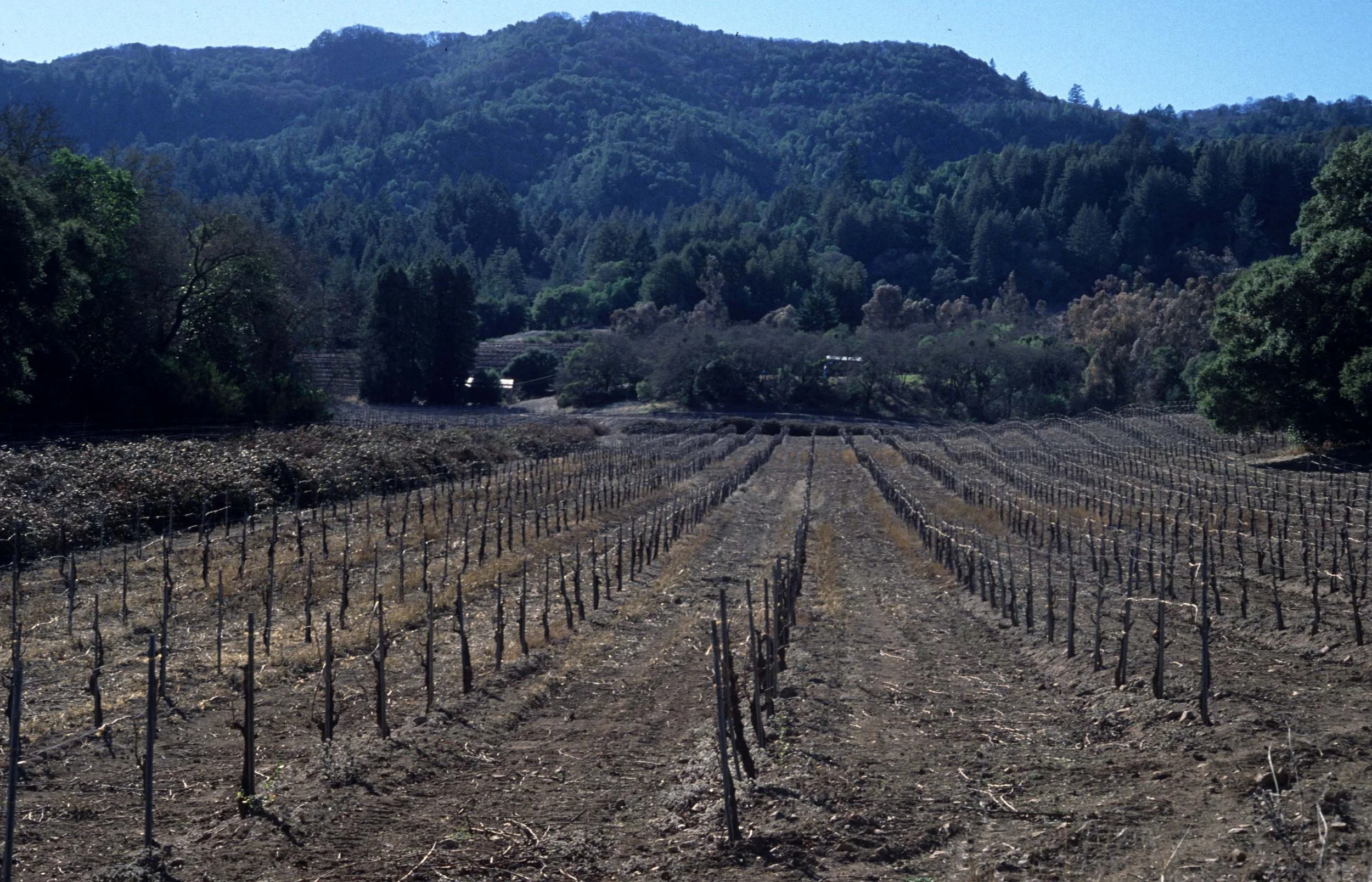 CALIFORNIA - JACK LONDON SP.jpg