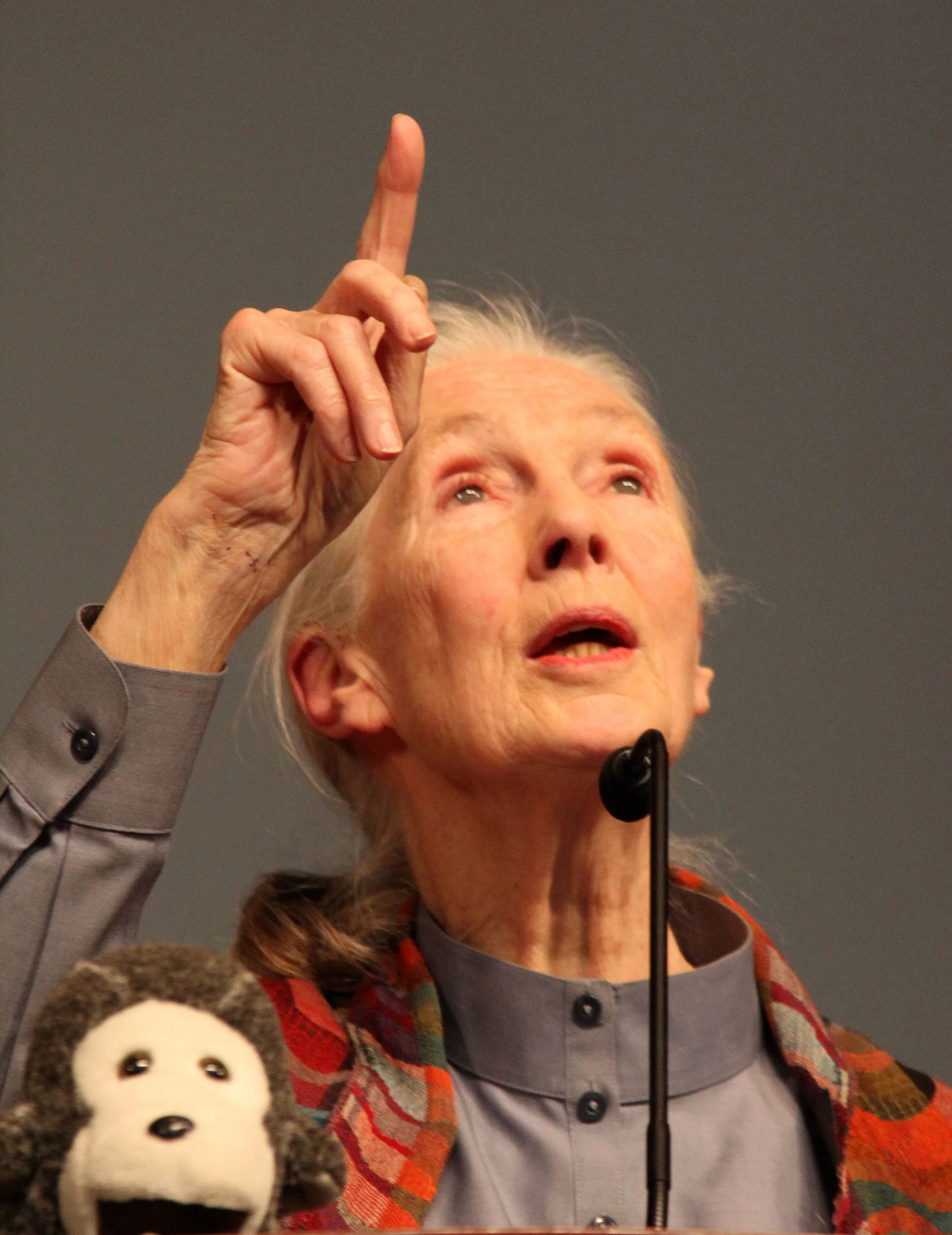 JANE GOODALL 2012 (11).JPG