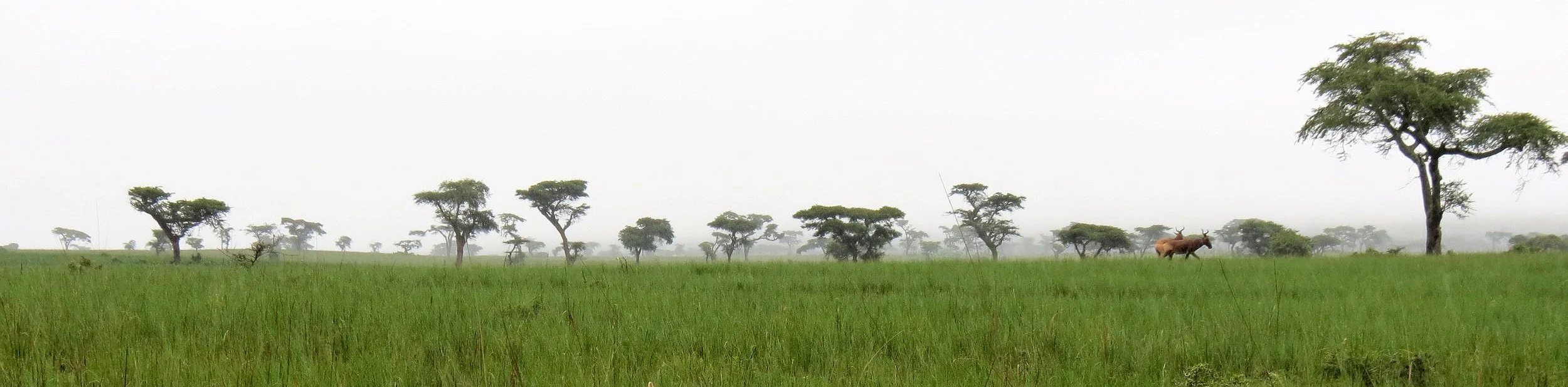 SENKELE SANCTUARY ETHIOPIA (70).JPG