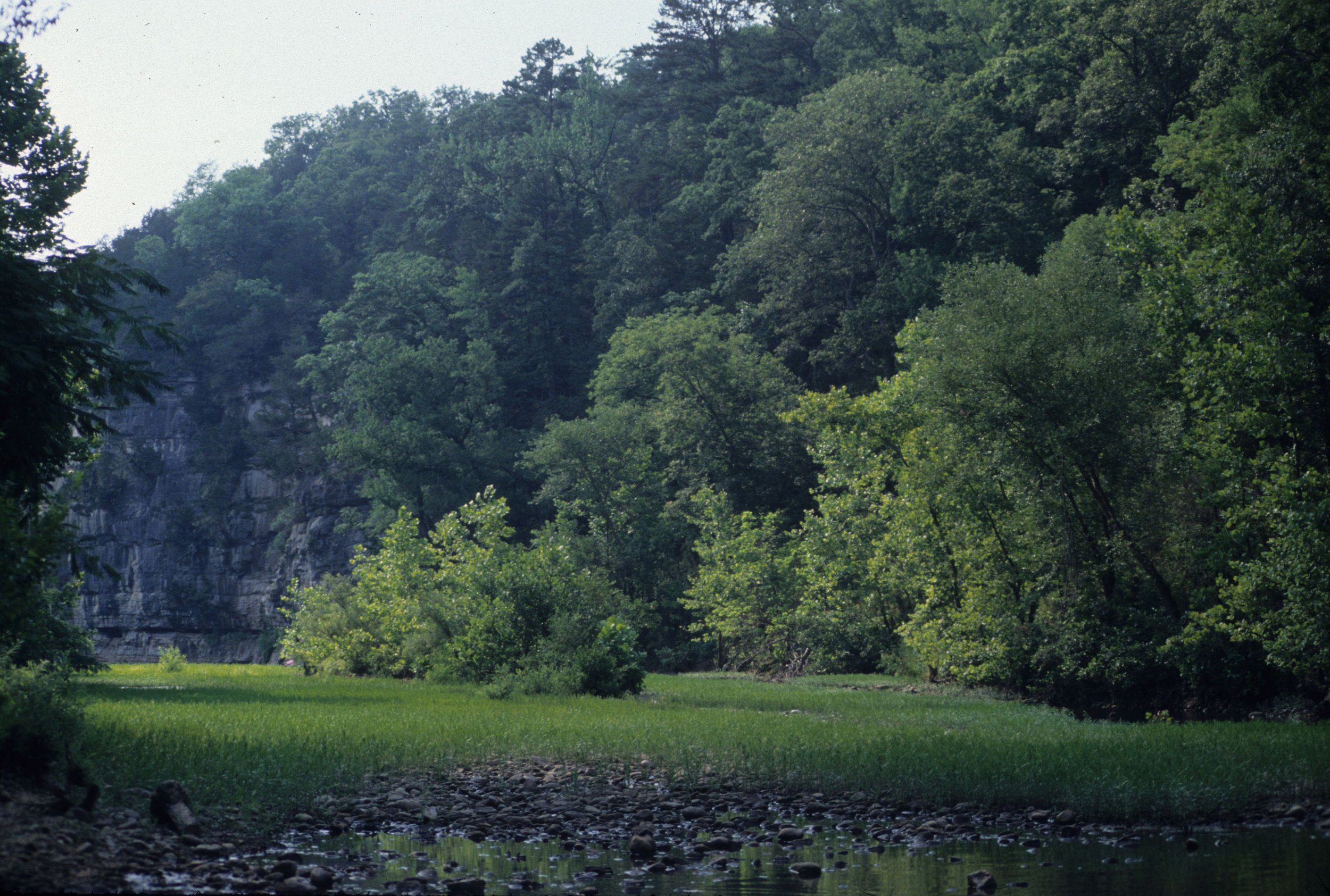 ARKANSAS - BUFFALO SPRINGS NM C.jpg