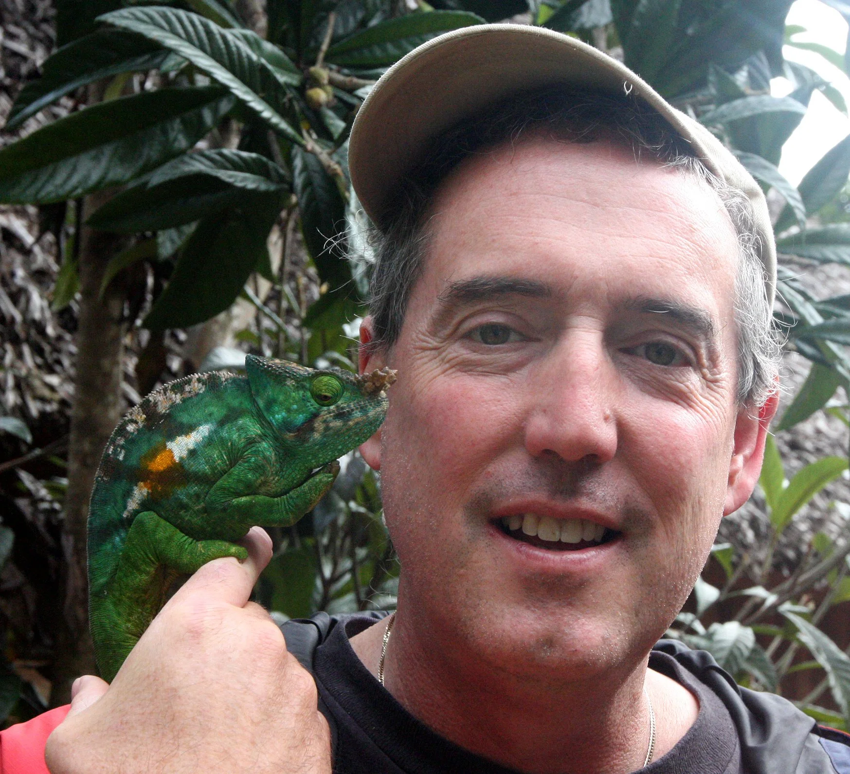 Calumma parsonii - PARSON'S CHAMELEON - MANTADIA NATIONAL PARK MADAGASCAR (39).JPG