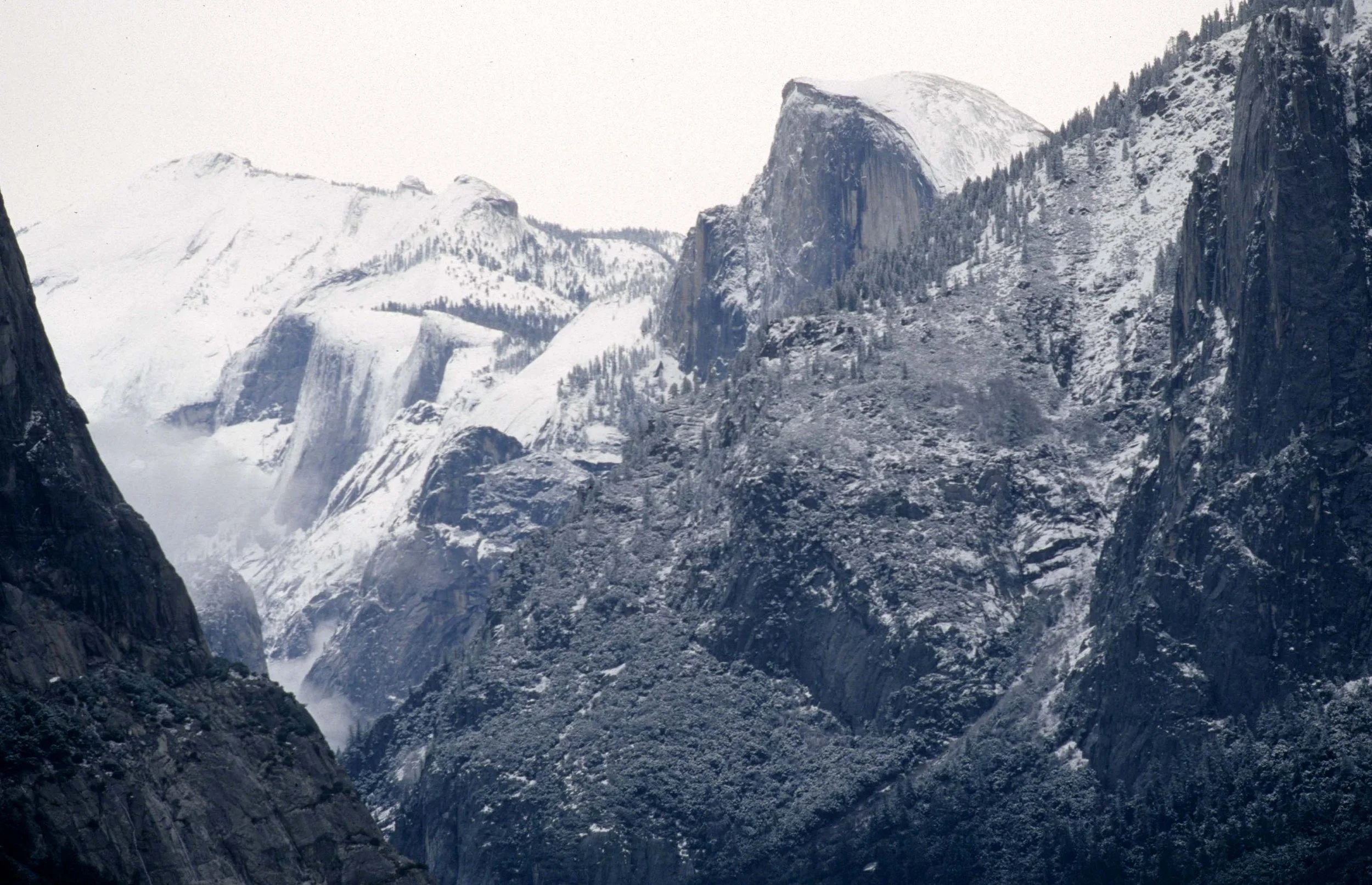 CALIFORNIA - YOSEMITE NP  (29).jpg