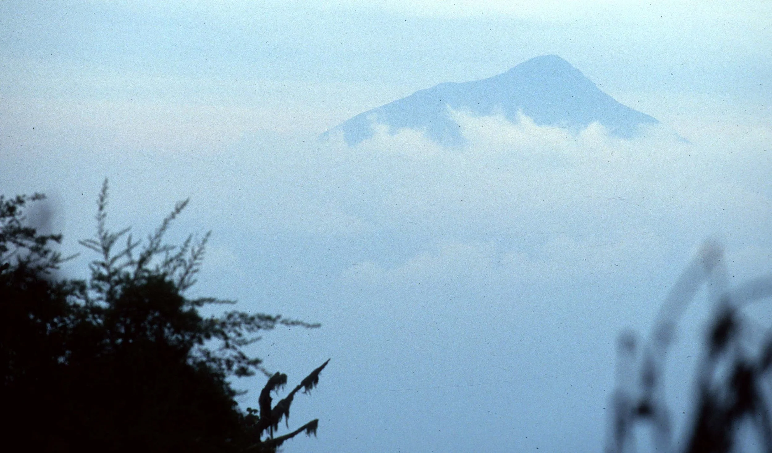 RWANDA - PARC DU VULCANS - MT VISOKE B.jpg