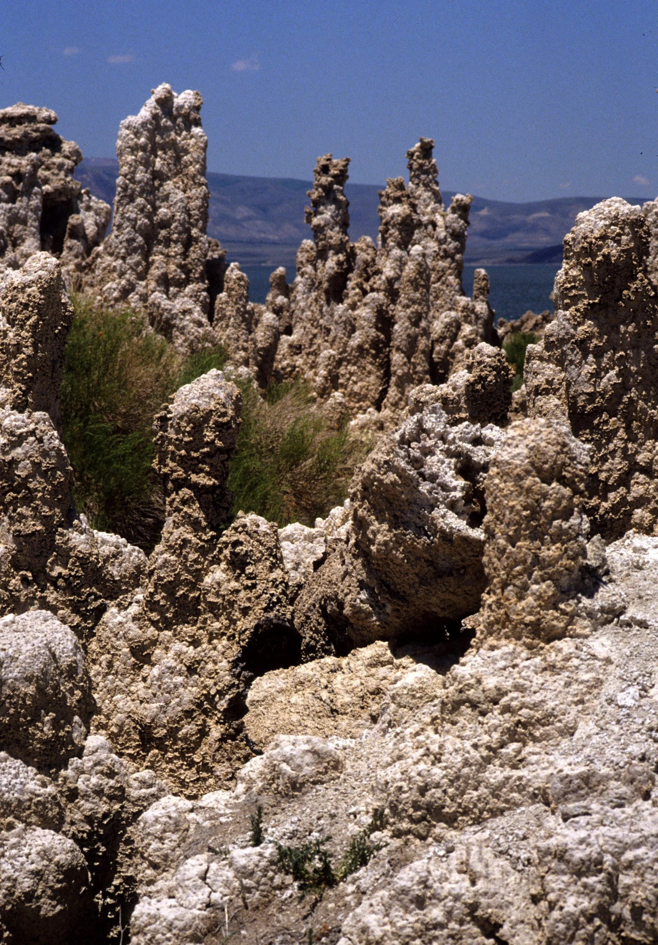 CALIFORNIA - MONO LAKE - TUFA FORMATIONS (8).jpg