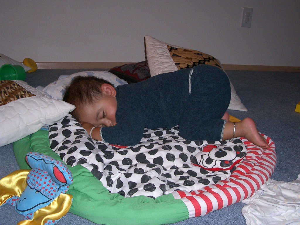 2003-8-30 COKIE SLEEPING (3).JPG