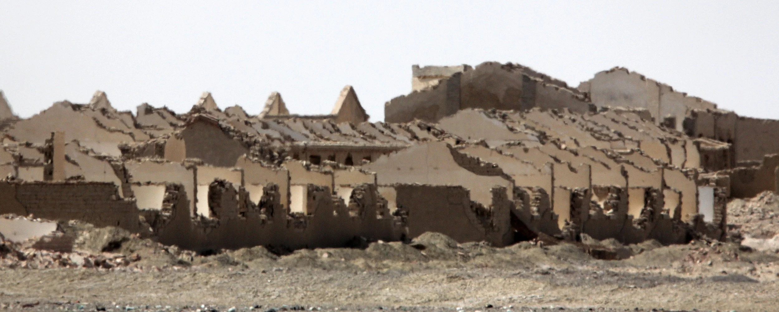 QINGHAI - ALTUN SHAN NATIONAL NATURE RESERVE - CHINA (6).JPG