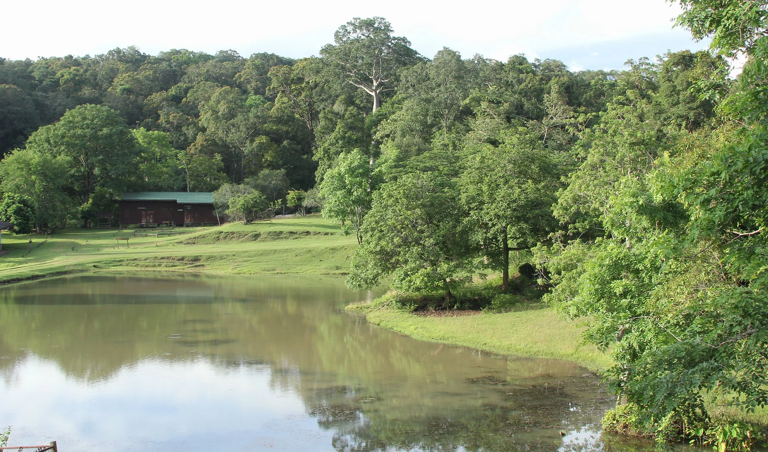 2017 Phu Khieo Wildlife Sanctuary  (5).JPG