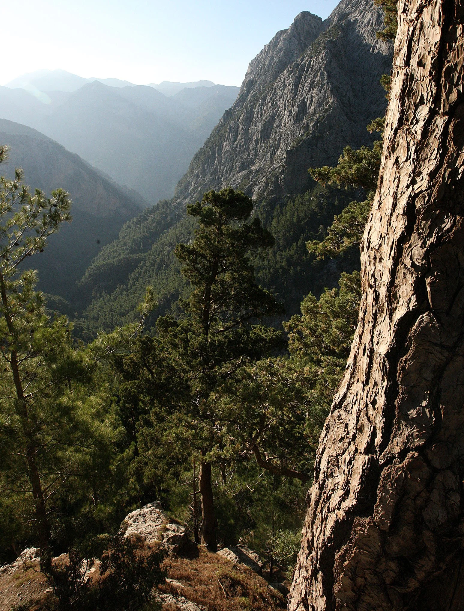 SAMARIA GORGE NATIONAL PARK CRETE (14).JPG