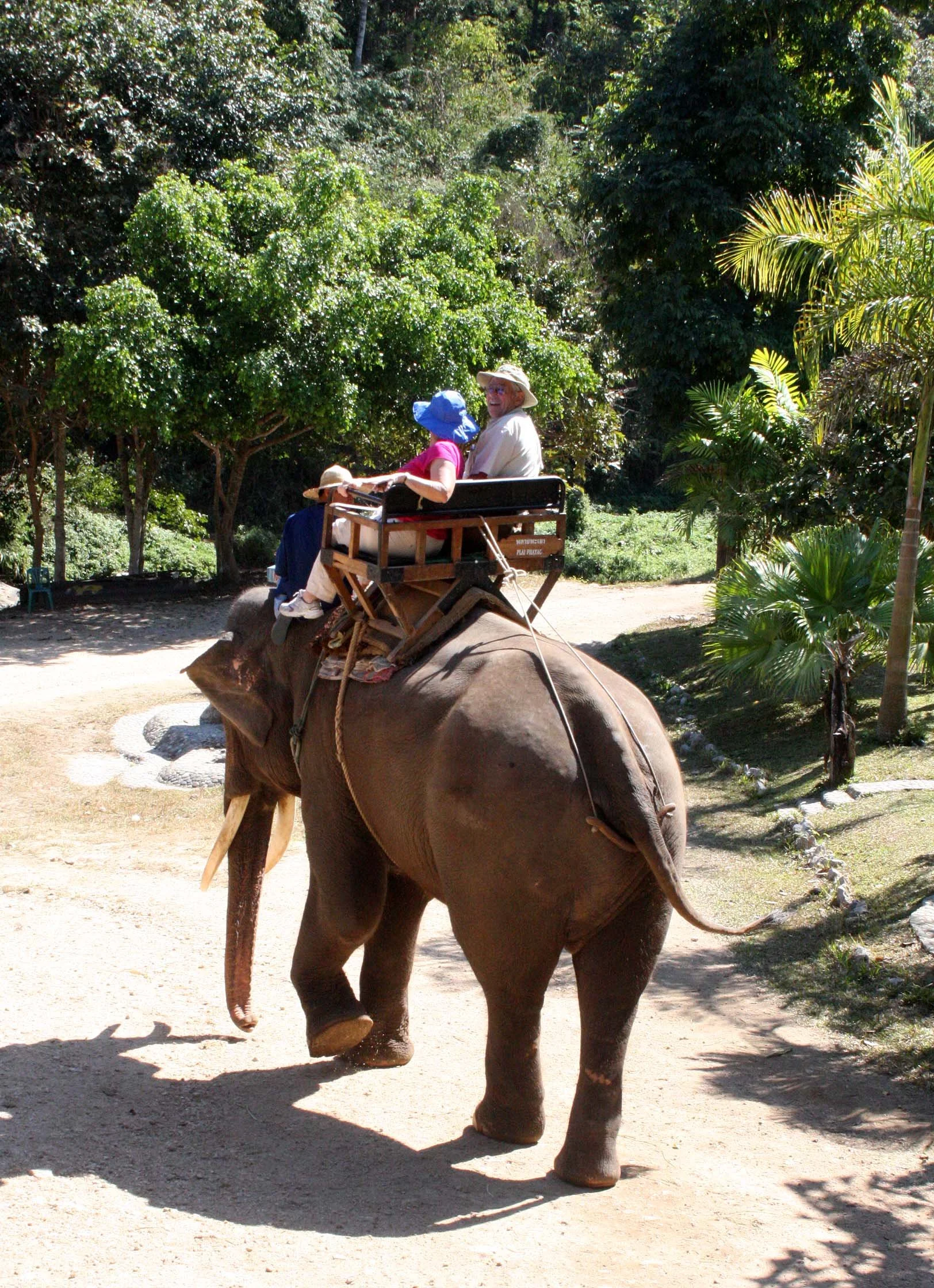 2008 Lampang City & Elephant Center (13).JPG