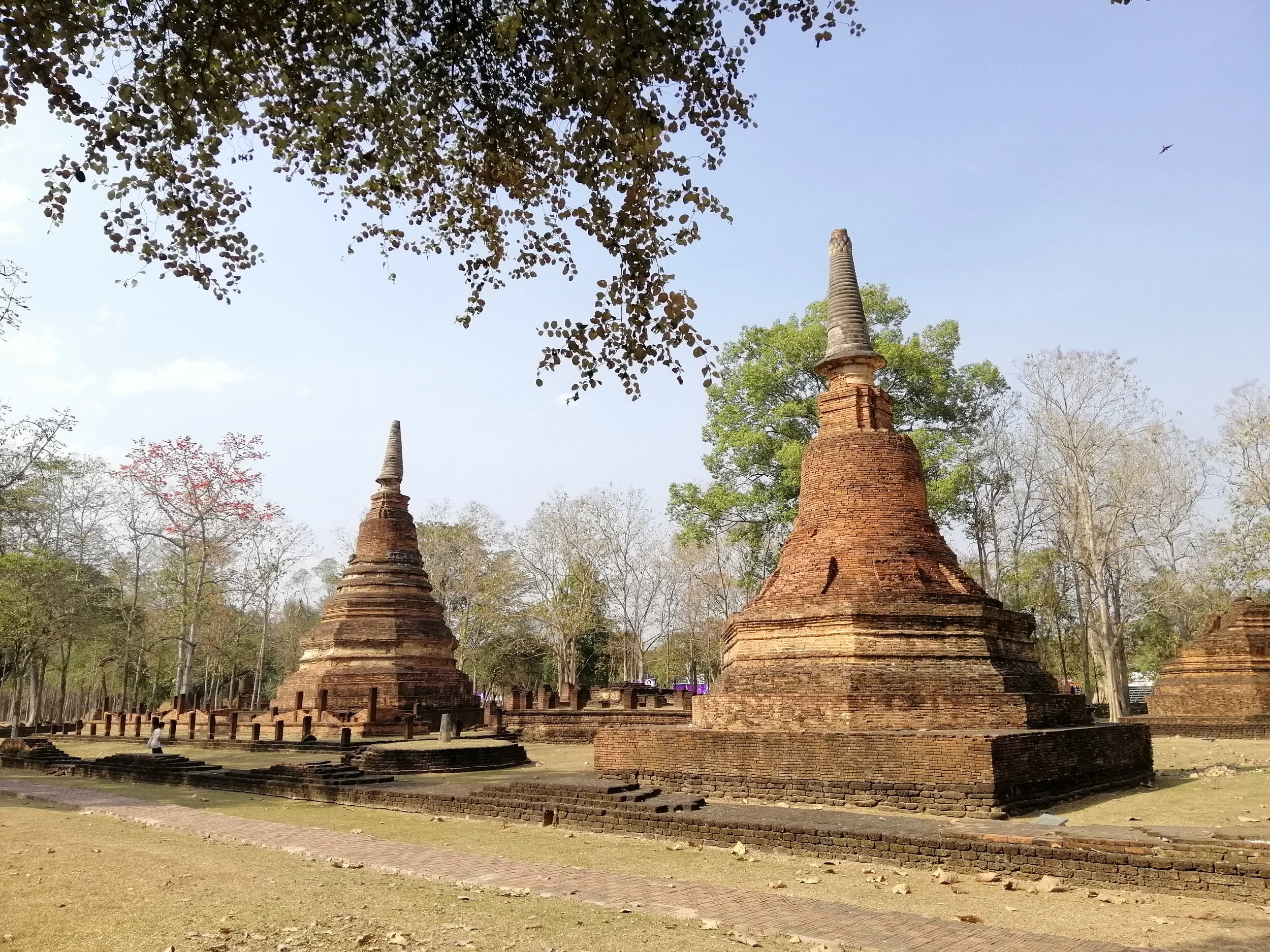 2020 Kamphaeng Phet World Heritage Trip with Cokie (17).jpg